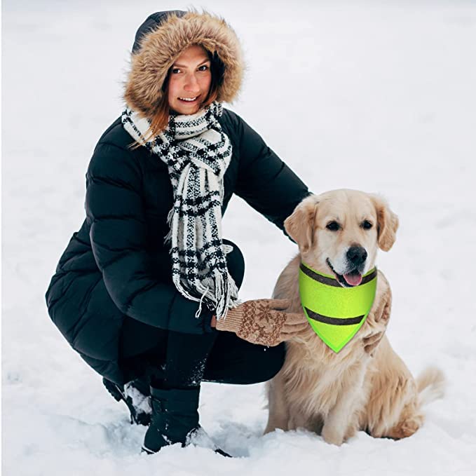 Encell 2-Pack Reflective Dog Collar Scarf - Safety Pet Bandana Triangle Bib for Dogs & Cats, Orange - Perfect for Night Walks & Outdoor Adventures