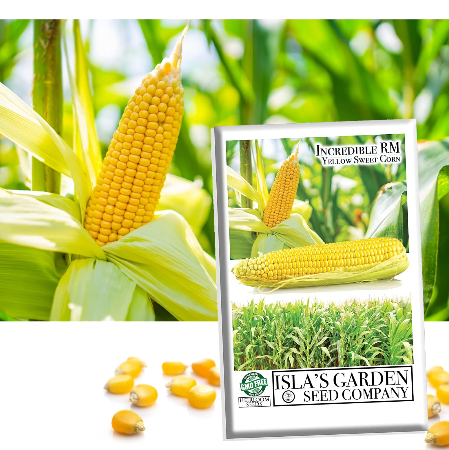 Sweet Incredible Yellow Corn Heirloom Seeds - 75 Non-GMO Seeds with 90% Germination Rate for Home Garden Planting | Perfect for Fresh Eating, Canning & Farm-to-Table Recipes by Isla's Garden Seeds