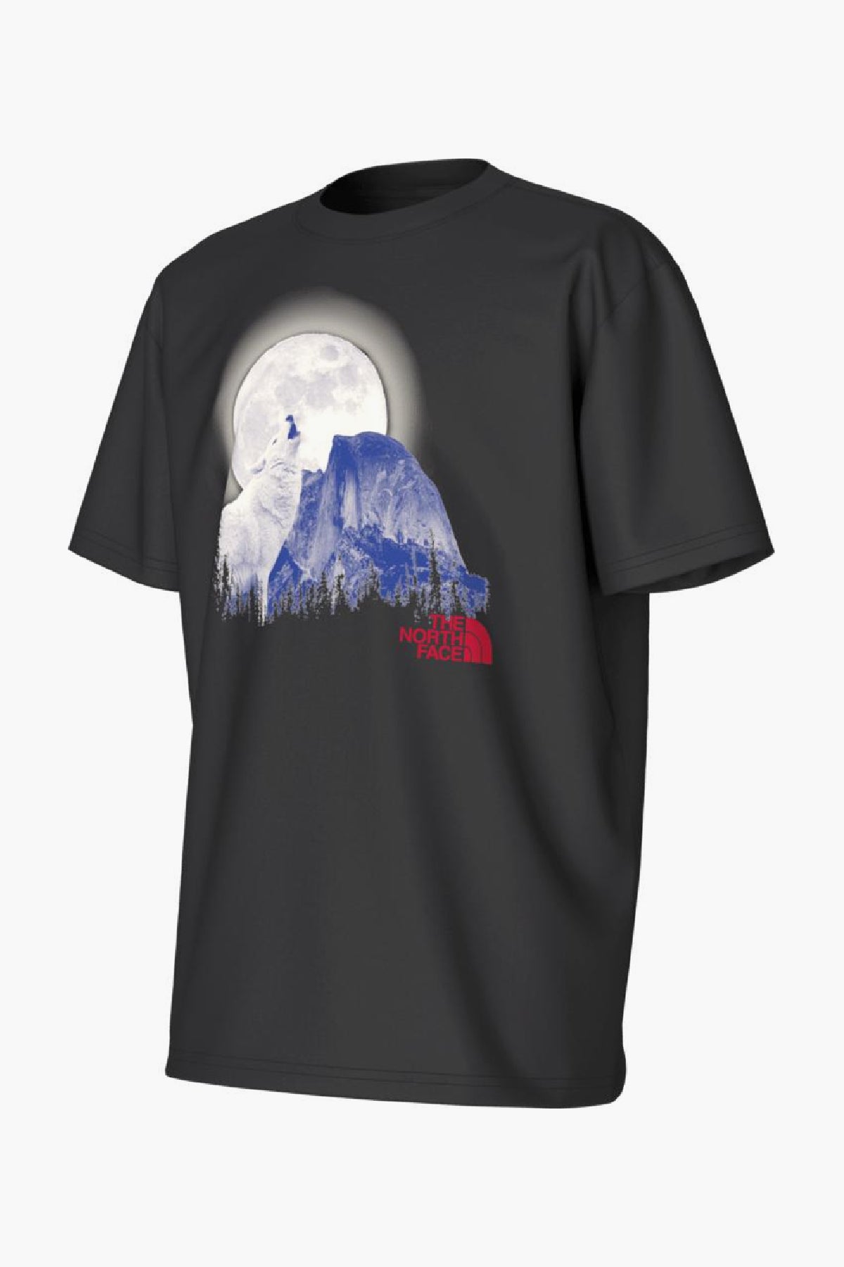 The North Face Howling Wolf Graphic T-Shirt for Boys - Size 6 | Cool Wolf Design Outdoor Adventure Shirt for Hiking, Camping & School