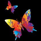 Butterfly Twin