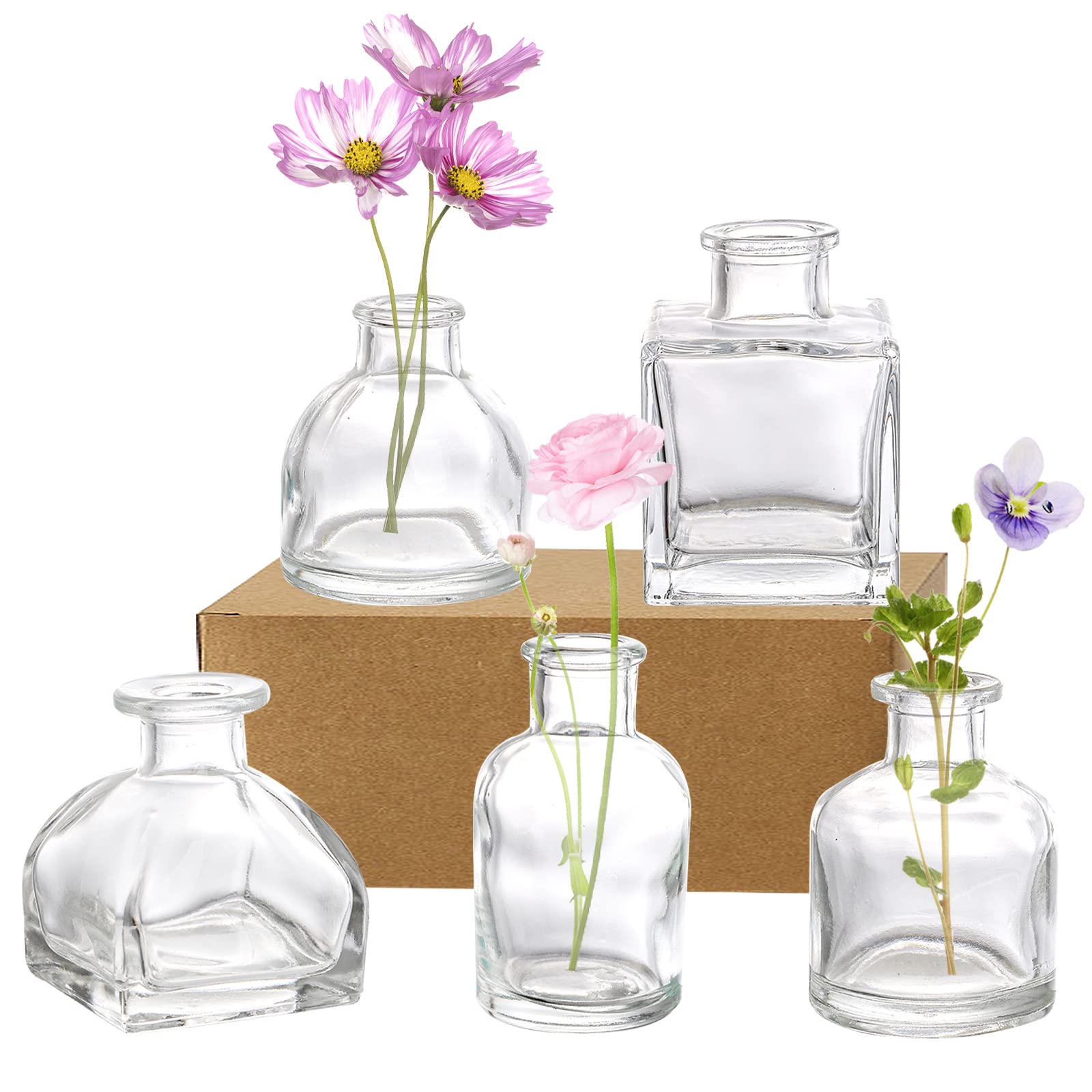 Hedume Set of 10 Small Clear Glass Flower Vases - Mini Bud Vases for Home Decor, Wedding Centerpieces, Rustic Table Decorations | Perfect for Dining Tables, Shelves, and Event Floral Arrangements