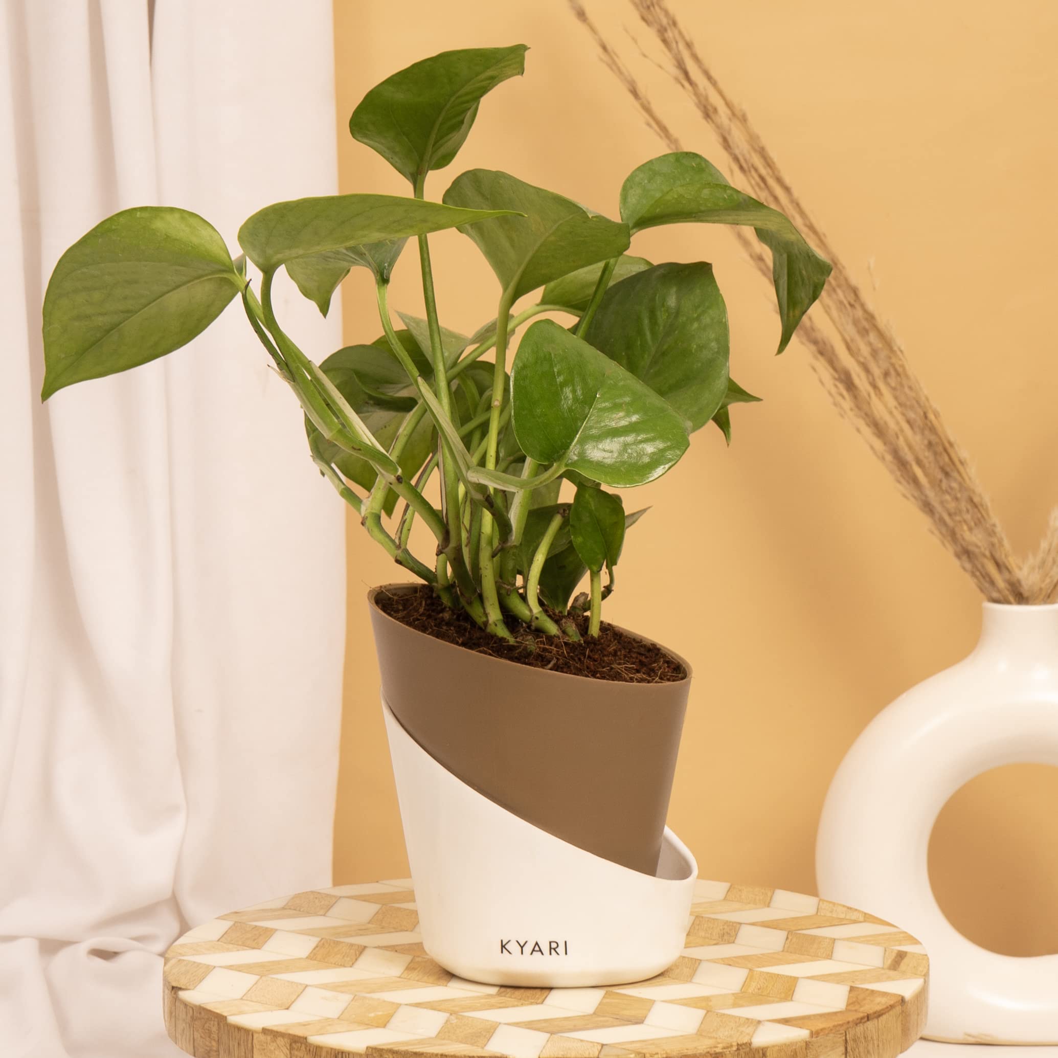 KYARI Set of 3 Self-Watering Plant Pots in Dusky Brown - Indoor Flower Planters for Home, Office Decor - Perfect for Living Room, Kitchen, Bedroom, Tabletop & Gifts | Ideal for Succulents, Herbs & Small Houseplants (Plants Not Included)