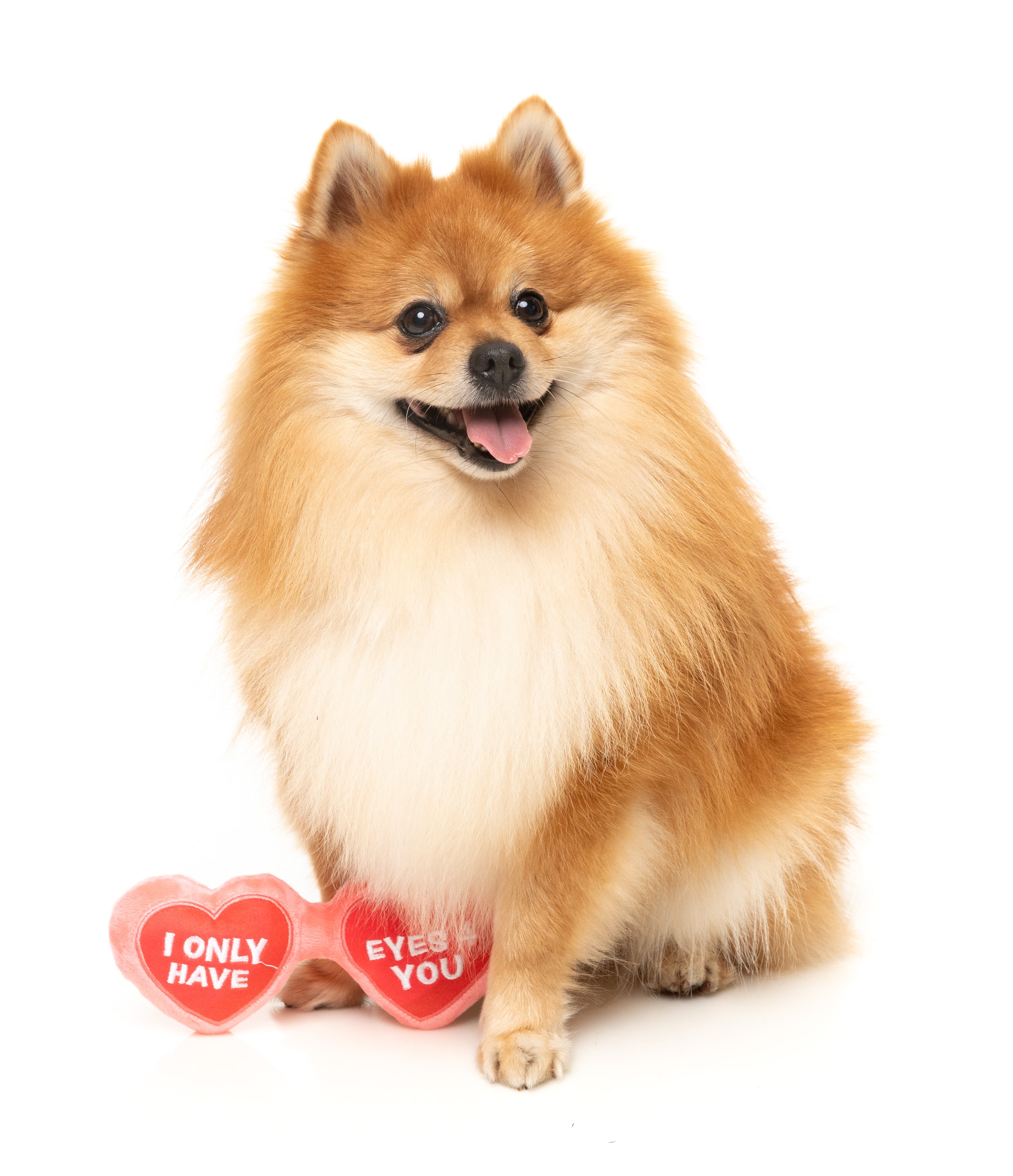 Fuzzy Valentine's Day Plush Dog Toy with Heart-Shaped Eyes - Cute & Soft Puppy Chew Toy for Small & Medium Dogs - Perfect Gift for Pet Lovers (Use for Playtime, Training Rewards & Cuddling)