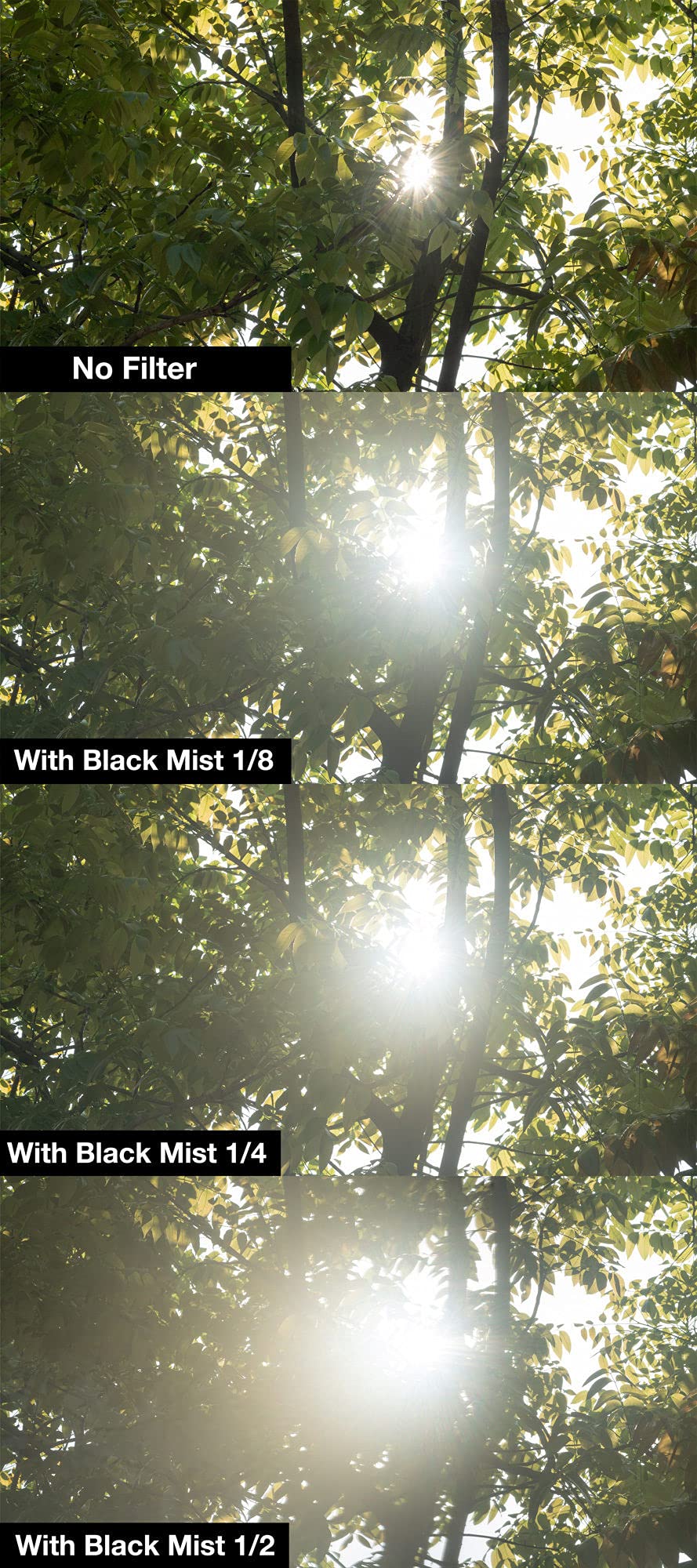 NiSi 72mm Circular Black Mist Filter 1/2 Strength - Soften Images, Reduce Contrast & Enhance Mood - Diffusion Filter for Soft Shadows & Dreamy Cinematic Effects - Perfect for Photography, Videography & Creating Atmospheric Scenes