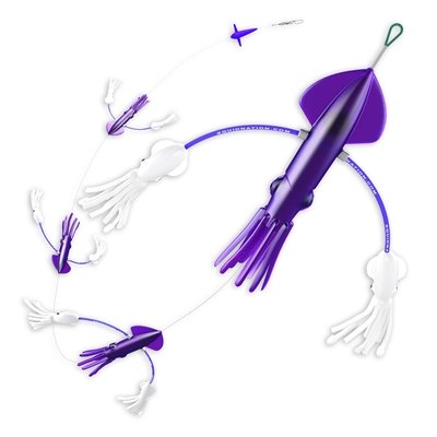 Purple & White