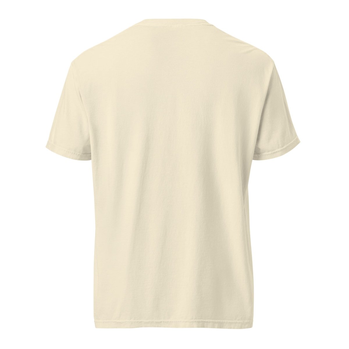 Steady Journey Turtle Heavyweight T-Shirt - Embrace Sobriety One Day at a Time - Perfect for Recovery Support & Daily Motivation