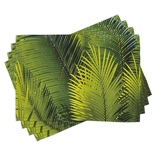 Fern Green