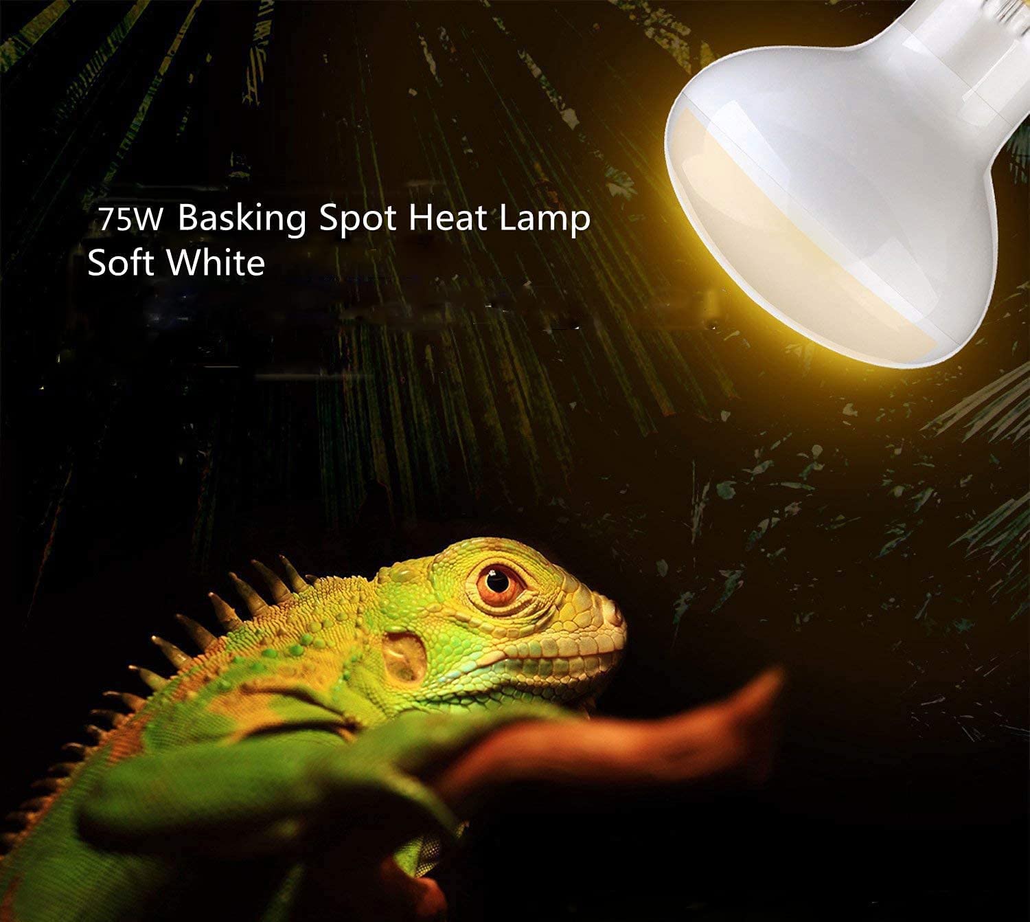 2-Pack 75W Reptile Heat Lamp Basking Bulb - E26 Base 110V UVA Daylight Heating Lamp for Bearded Dragons, Turtles, Lizards & Chicken Coops | Glass Enclosure Heater for Terrariums & Aquariums (Perfect for Basking Areas & Nighttime Warmth)