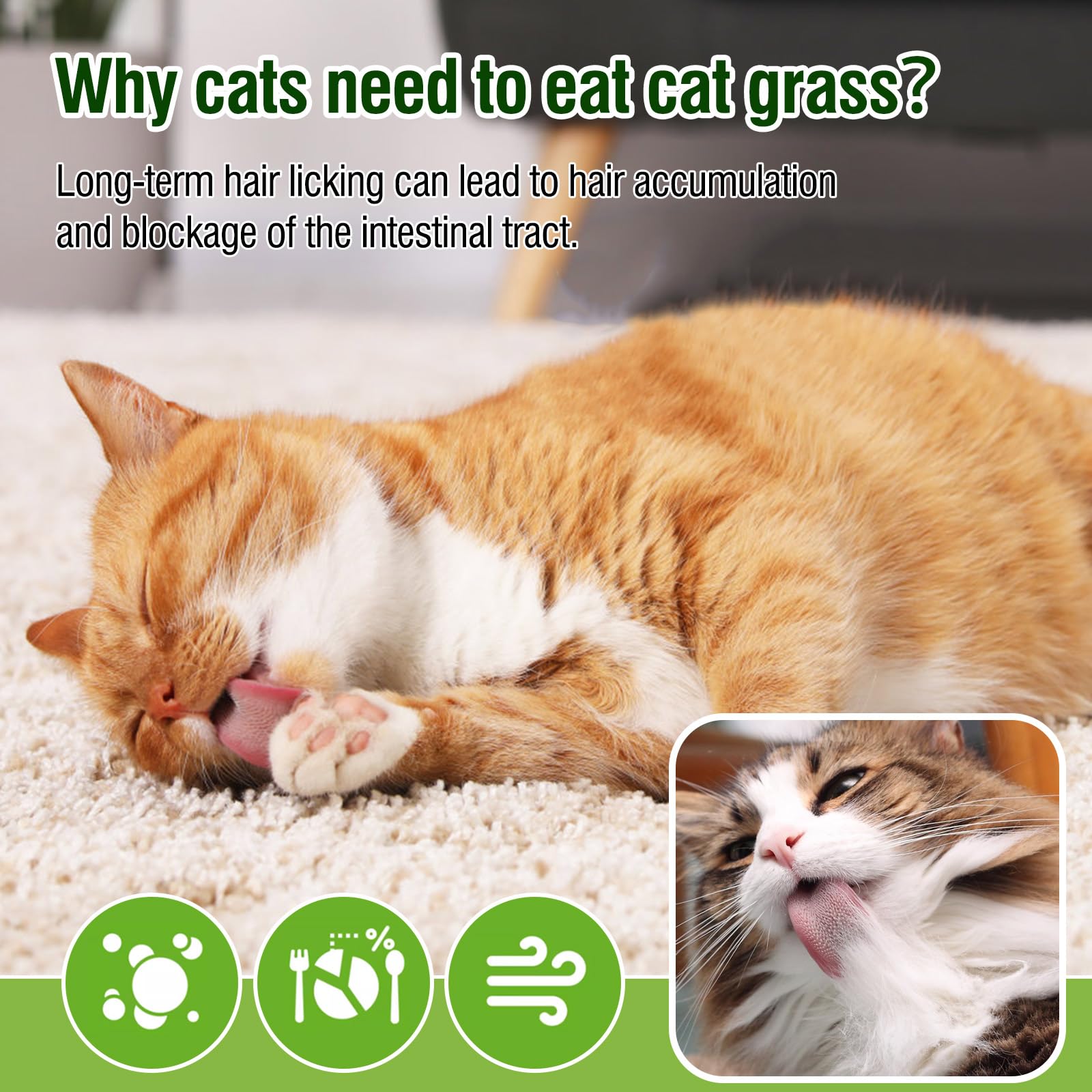 Organic Cat Grass Teething Sticks for Kittens & Adult Cats - 3.52Oz Freeze-Dried Edible Cat Treats for Hairball Control & Dental Health - Perfect for Indoor Cats, Teething Kittens & Digestive Support