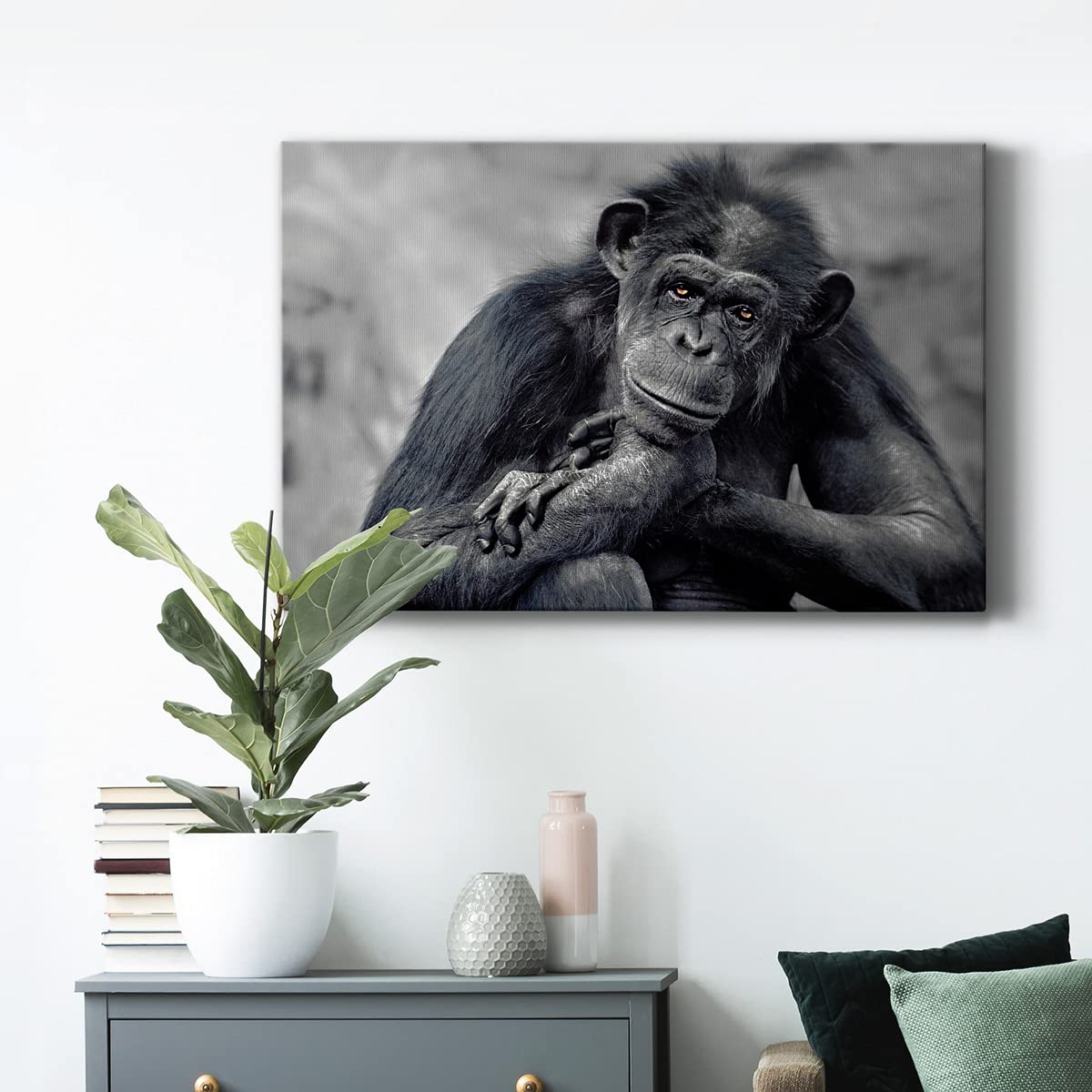 Captivating Monkey Canvas Wall Art - Modern 24