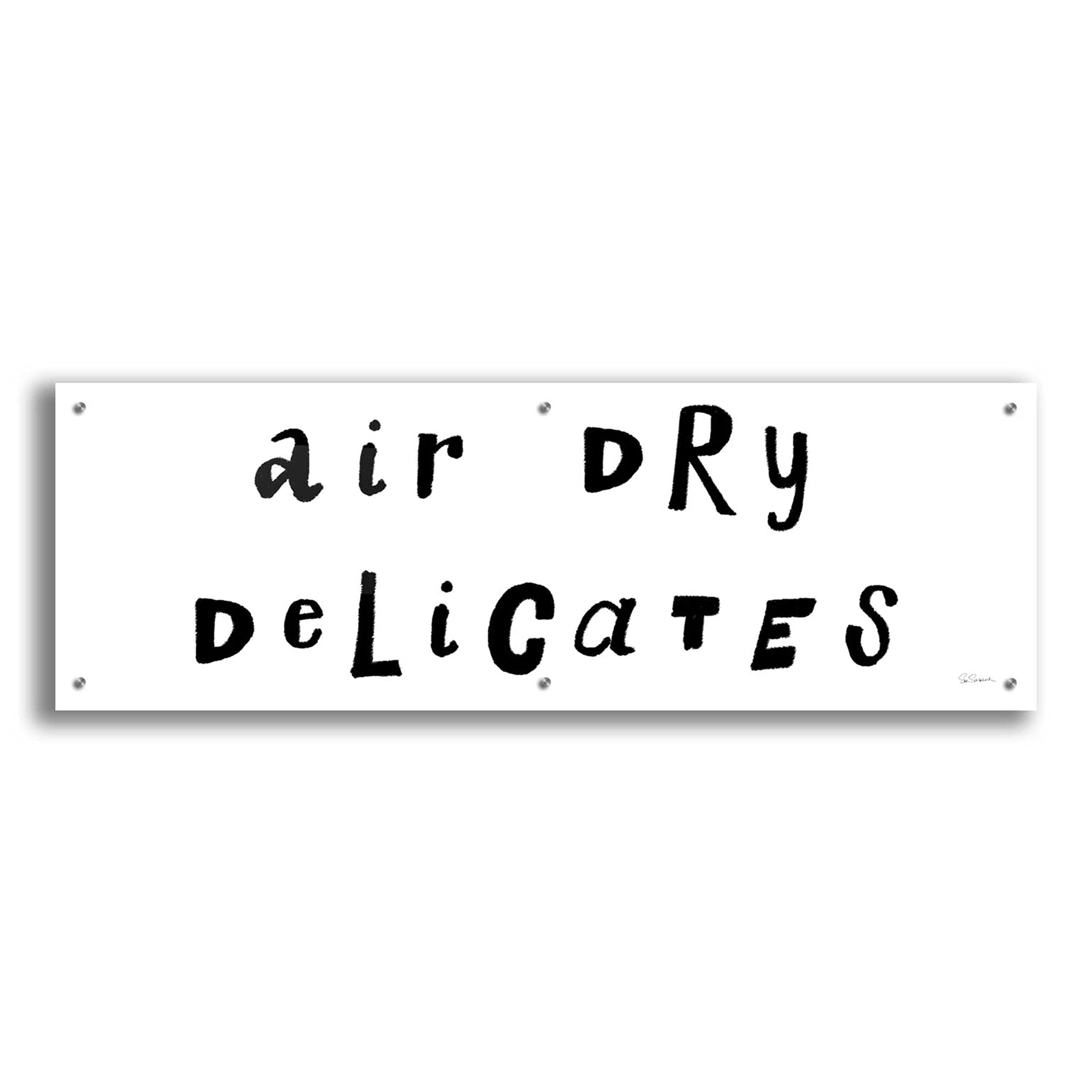 Epic Art 'Laundry Room Deliques' by Sue Schlabach - 48x16 Inch Acrylic Glass Wall Decor - Modern Home & Office Wall Art for Living Room, Bedroom, Laundry Room