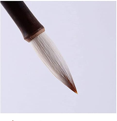 Chinese Calligraphy Brush Set - Watercolor & Ink Pens for Beginners | Kanji, Drawing & Painting