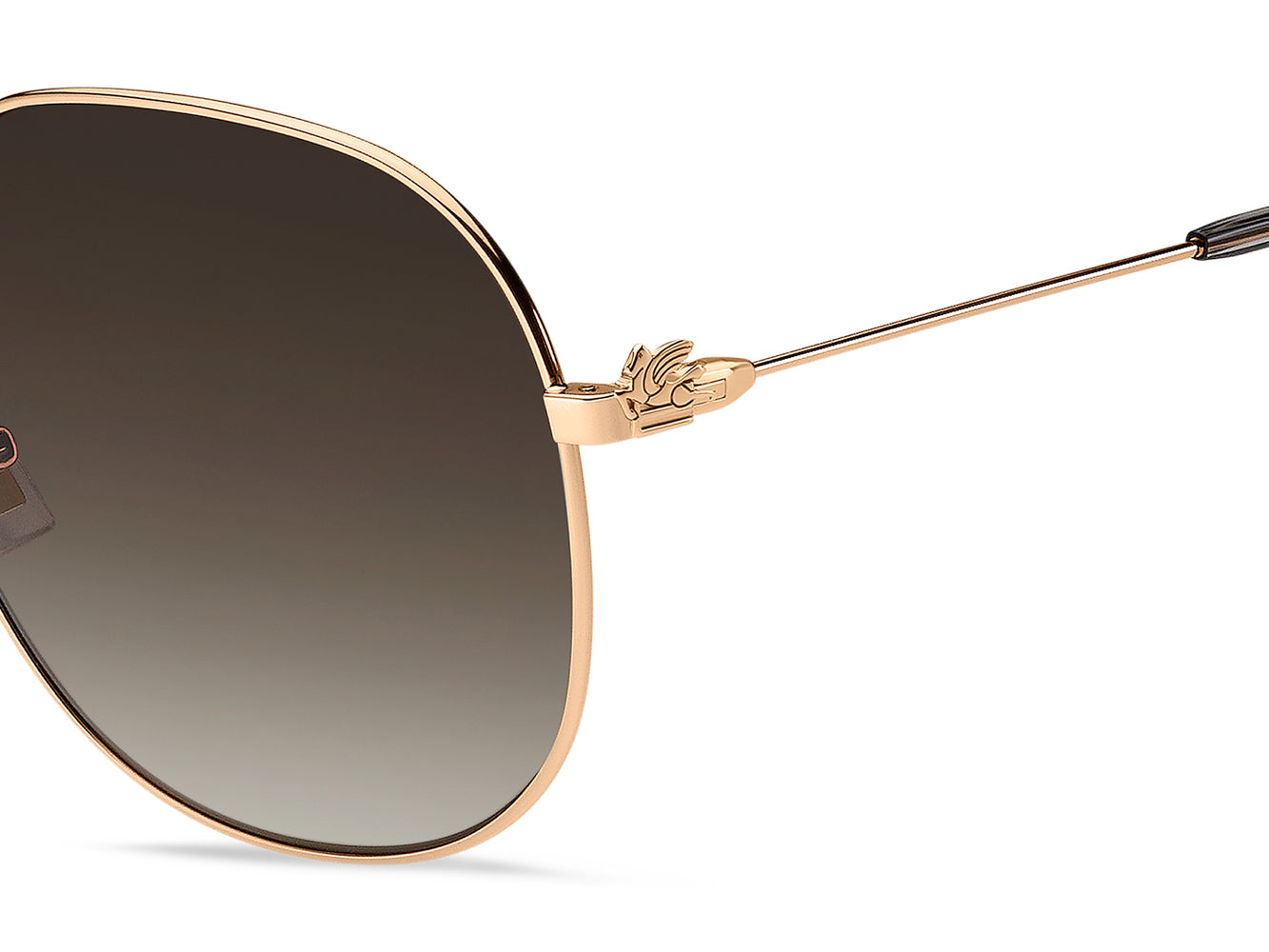 Etro 0060 F S Sunglasses - Luxury Designer Shades for Women & Men - UV Protection & Fashion Eyewear - Perfect for Outdoor Activities, Travel & Summer Style