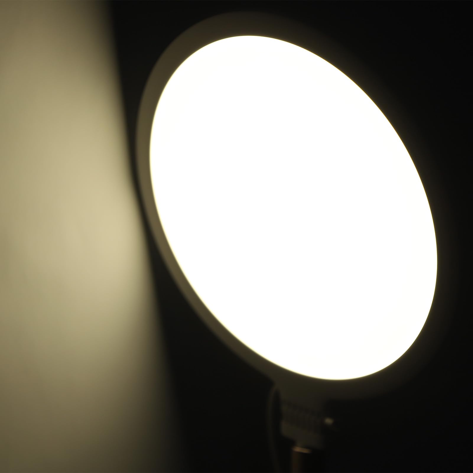 10 Inch Selfie Ring Light with Stand - Dimmable LED Makeup Light, Energy Saving, Anti-Blue Light, No Flicker for YouTube, TikTok, Live Streaming & Photography