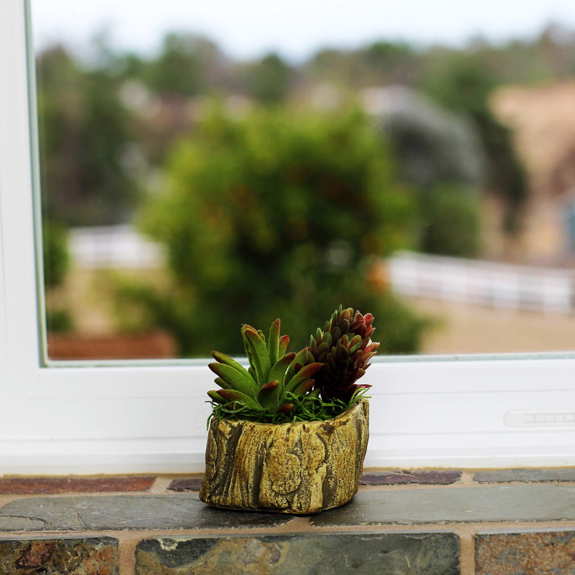 Ceramic Wood Plant Pot - Indoor Wood Planter with Natural Log Design for Succulents, Flowers & Small Plants | Perfect for Home Decor, Office Desk & Gift Giving (Driftwood Stump Style)