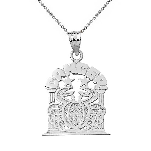 925 Silver Cancer Zodiac Necklace - Personalized Zodiac Jewelry Gift for Women
