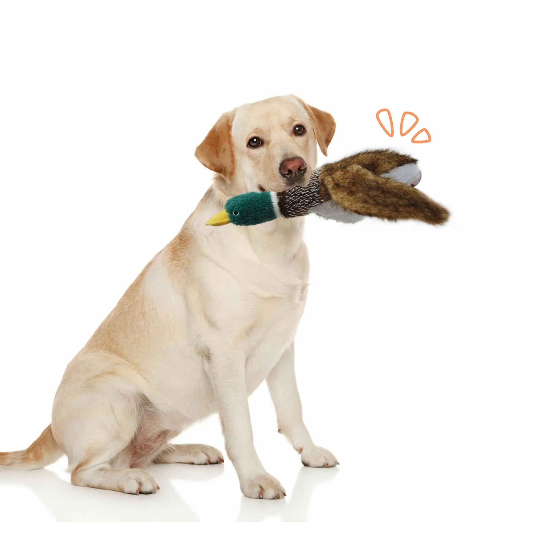 Interactive Mallard Duck Dog Toy - Squeaky Puzzle Plush for Small, Medium & Large Dogs - Chew-Proof Durable Stuffed Duck Toy for Playtime, Training & Mental Stimulation - Perfect for Indoor & Outdoor Fun