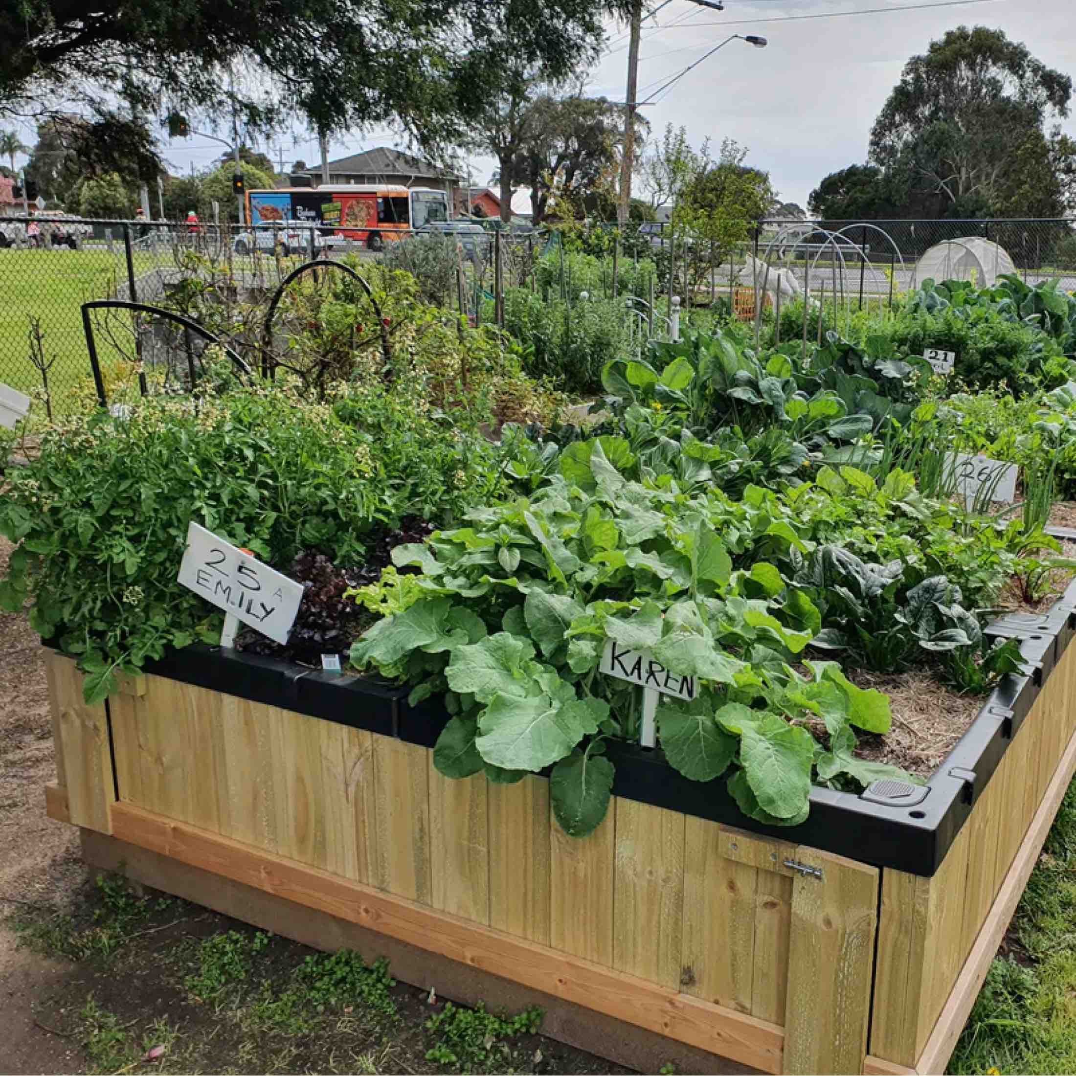 Foodcube™ Slim - Next Generation Self Watering Raised Garden Bed for Vegetables, Herbs & Flowers | Indoor & Outdoor Gardening Solution