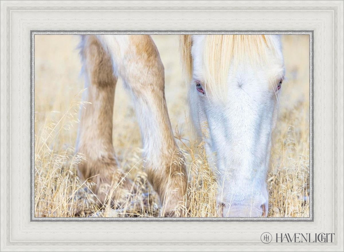 Dry Grass by Greg Sargent - Premium Handcrafted Home Decor for Rustic & Farmhouse Style - Perfect for Wall Art, Shelf Displays & Cozy Living Room Decor