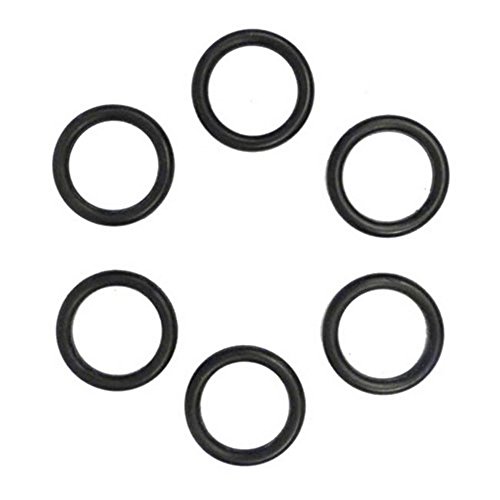 Pentair 77707-0117 Coil Tubesheet Sealing O-Ring Replacement Kit for Pool and Spa Heater Maintenance and Repair