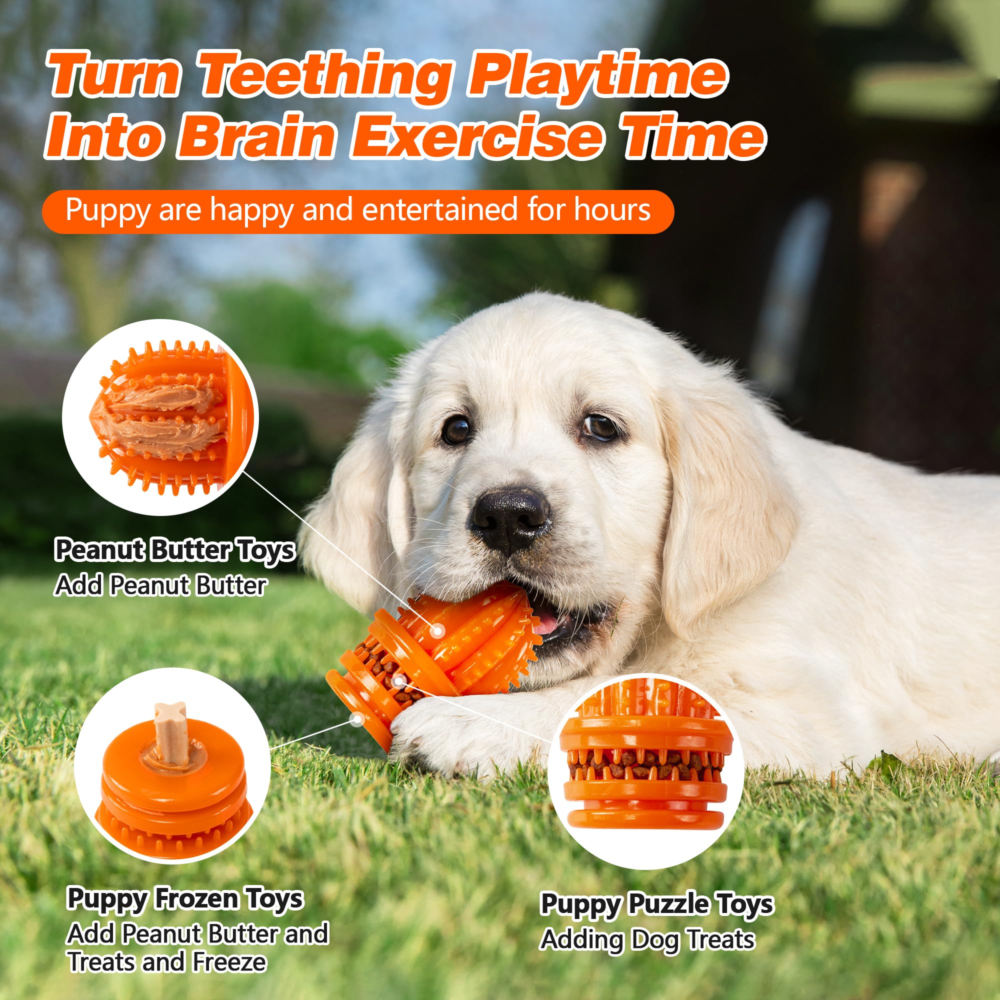 **Ystars 9-Piece Indestructible Puppy Chew Toys for Small to Medium Dogs (8-38 Weeks) – Teething Relief, Interactive Play, Tug of War – Perfect for Energetic Puppies & Training**    *(Ideal for teething puppies, playtime bonding, and energy release during training sessions!)*