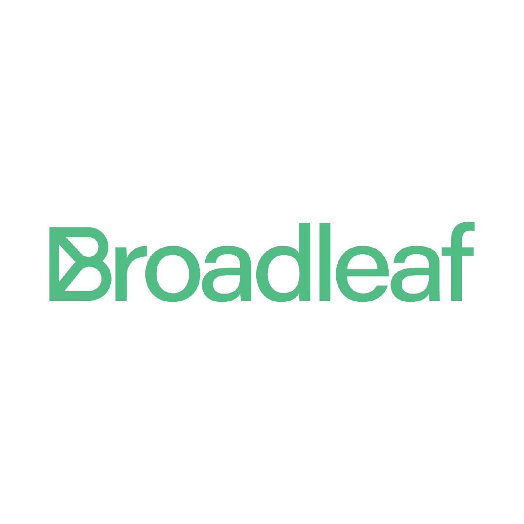 Broadleaf Plant - Premium Indoor & Outdoor Houseplant for Home Decor, Office, and Garden Landscaping | Easy Care, Low Maintenance, and Air Purifying Benefits