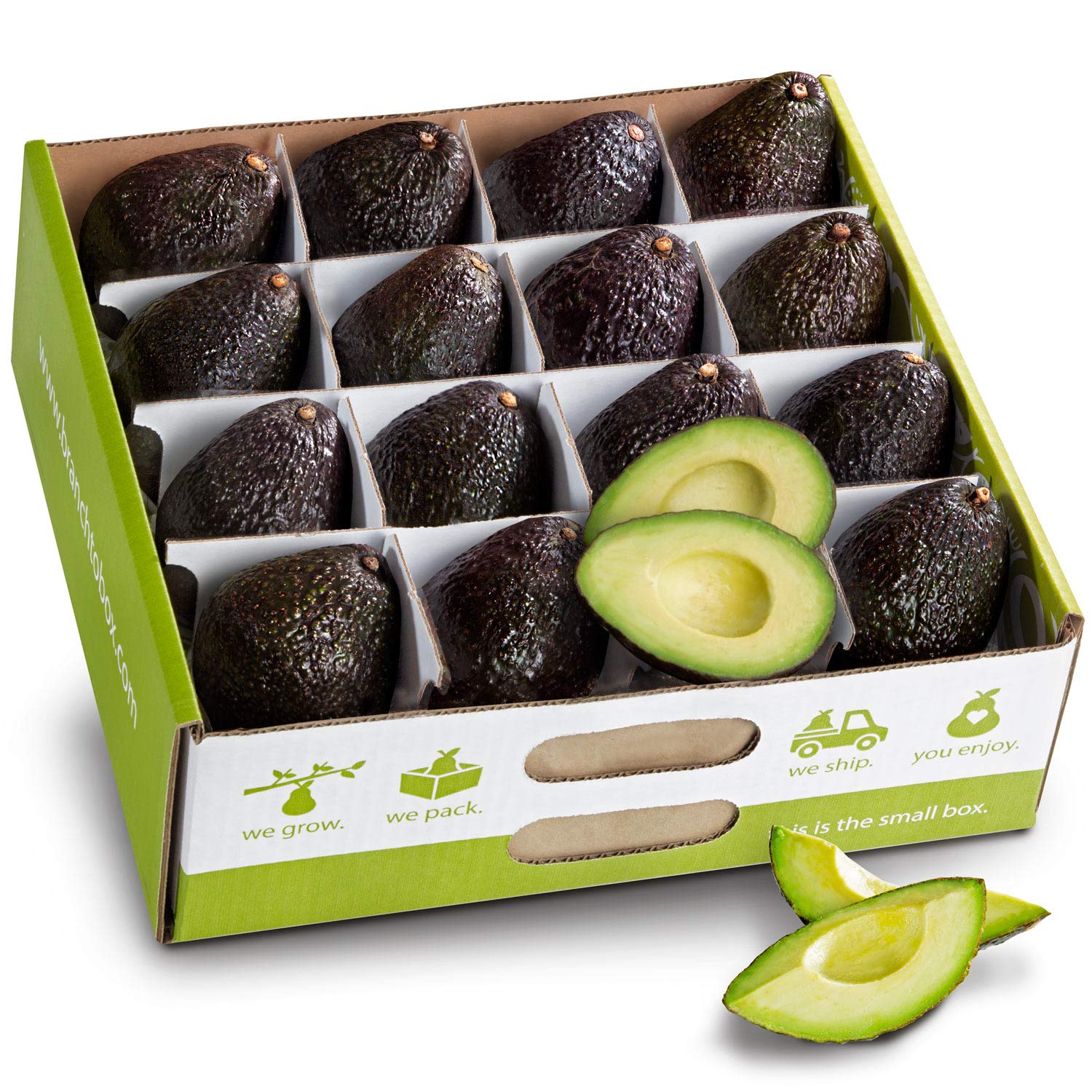 16 Count Avocado Gift Box - Perfect for Birthday, Anniversary & Housewarming Presents - Eco-Friendly Packaging