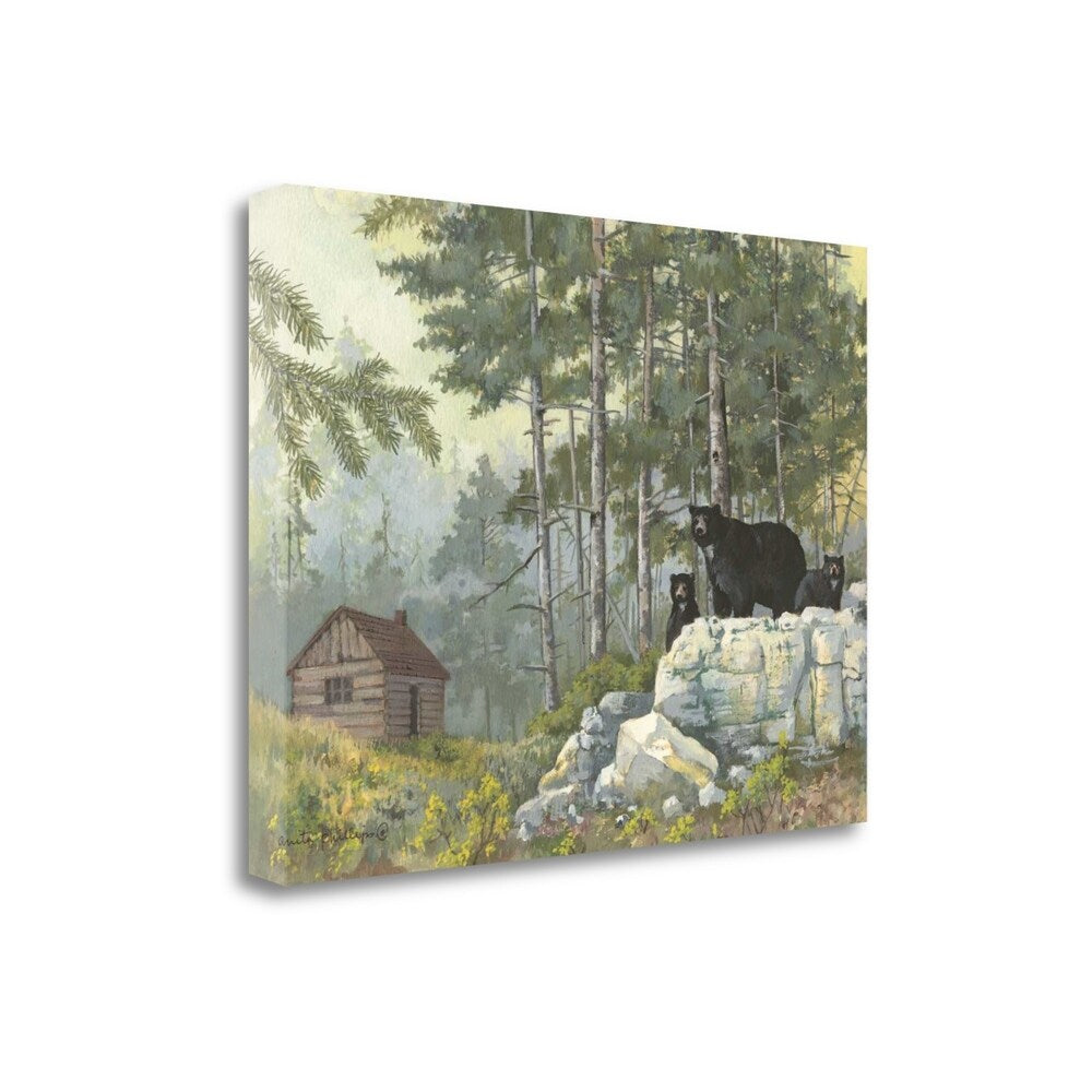 Bears Cabin by Anita Phillips - Premium Fine Art Giclee Print on Gallery Wrapped Canvas, Ready to Hang Wall Decor for Living Room, Bedroom & Office