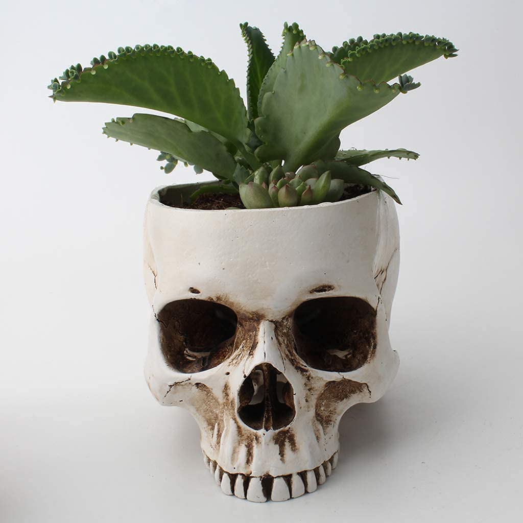 Skull Flower Pot - Resin Skull Shaped Planter for Succulents & Small Plants | Gothic Home & Office Desk Decor | Unique Gift for Halloween & Gothic Lovers