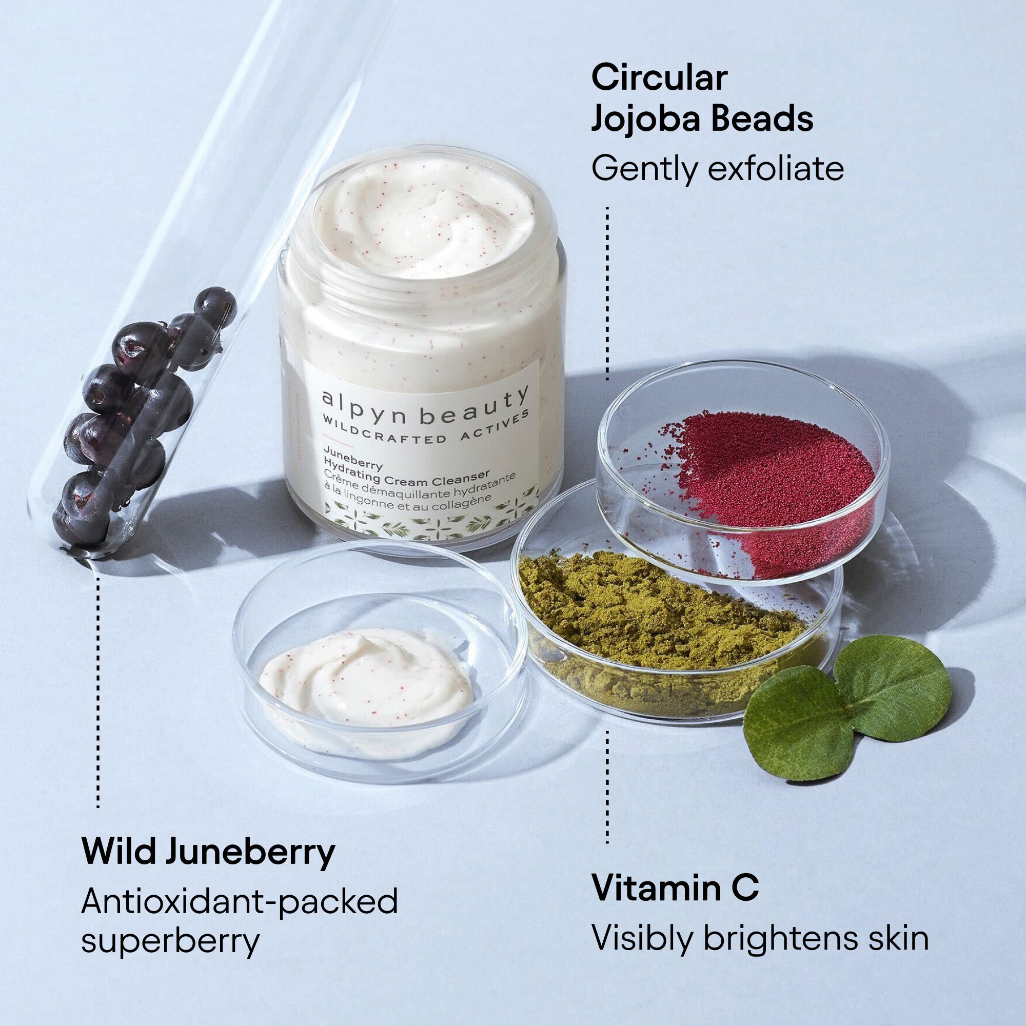 Juneberry & Vitamin C Hydrating Face Wash - Gentle Foaming Cleanser for Dry & Sensitive Skin | Morning & Night Skincare Routine | Brightening & Moisturizing Facial Cleanser