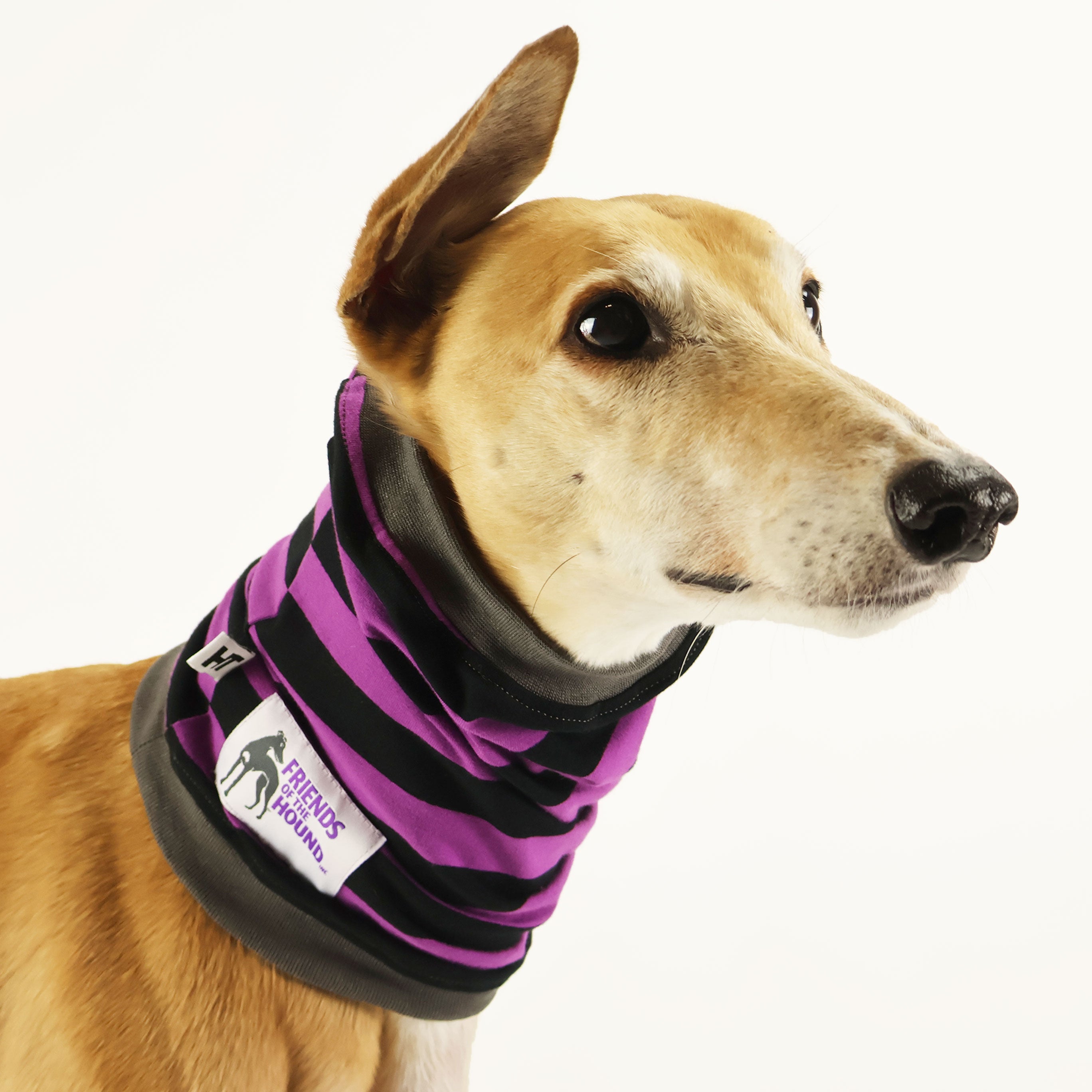 Friends Of the Hound Greyhound Snood - Warm & Stylish Dog Neck Warmer for Greyhounds - Perfect for Cold Weather Walks & Outdoor Adventures