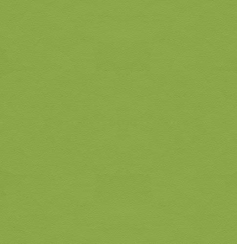 Canter Kiwi Green