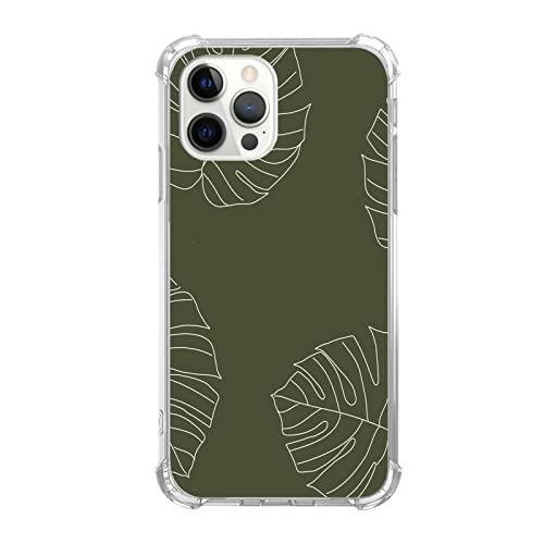 Monstera Plant