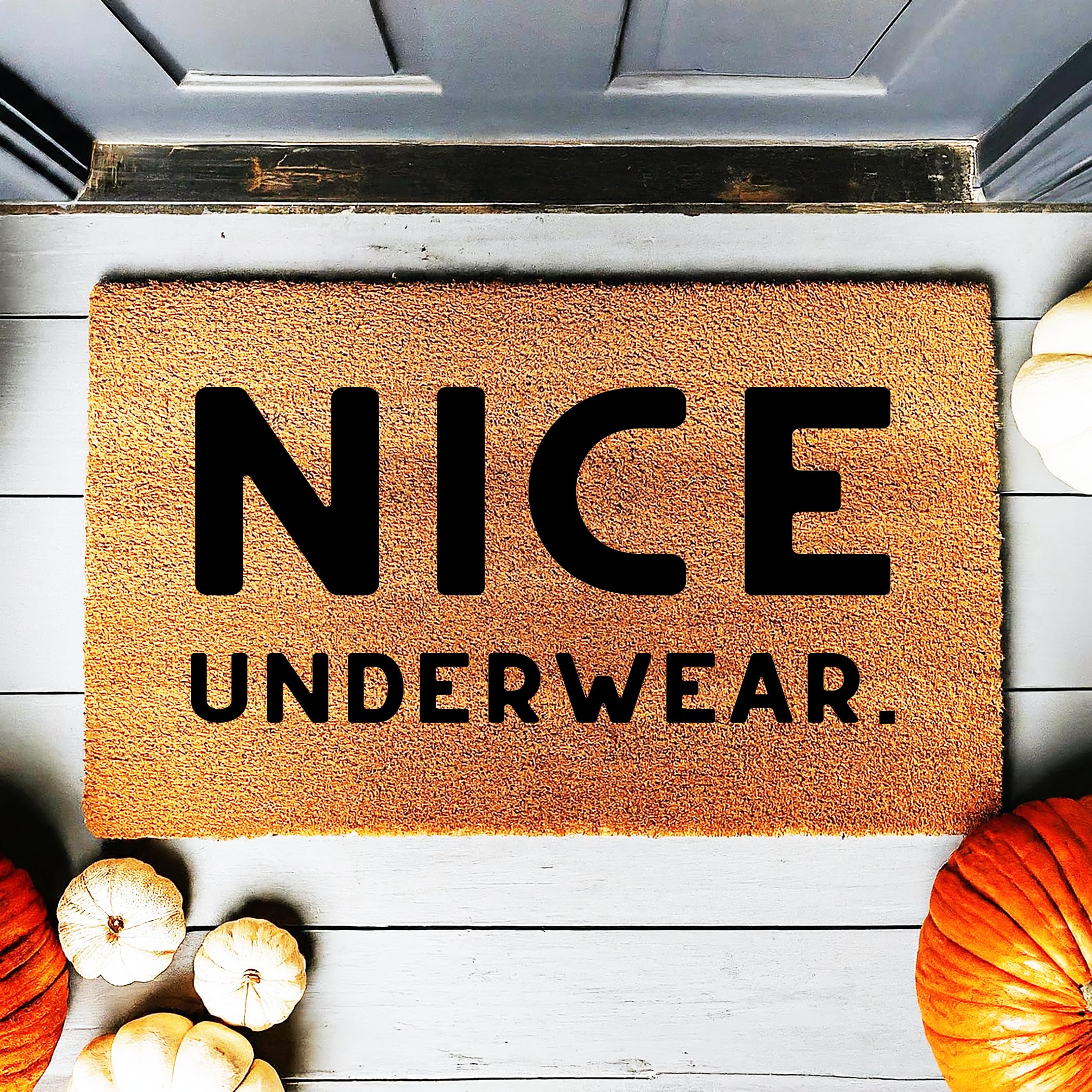 Funny Underwear Doormat - Humorous Welcome Mat for Front Door, Premium Quality Coir Entryway Rug, Durable & Non-Slip - Perfect for Bathroom, Laundry Room or Funny Housewarming Gift (STK1141)