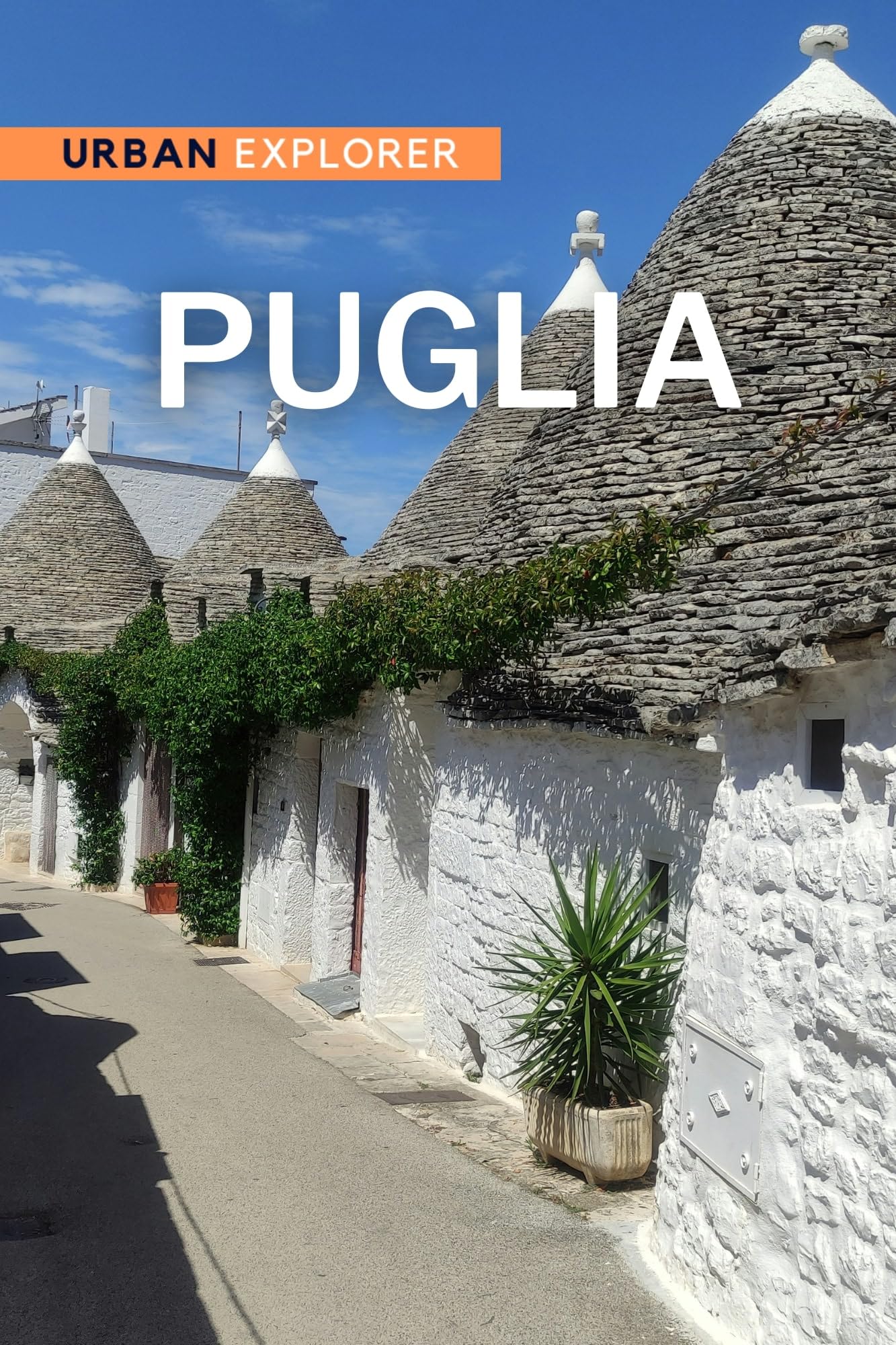 Explore Puglia Italy: Ultimate Travel Guide Book for Southern Italy Tours, Beaches & Culture (Vacation Planning, Road Trips, Food & Wine)