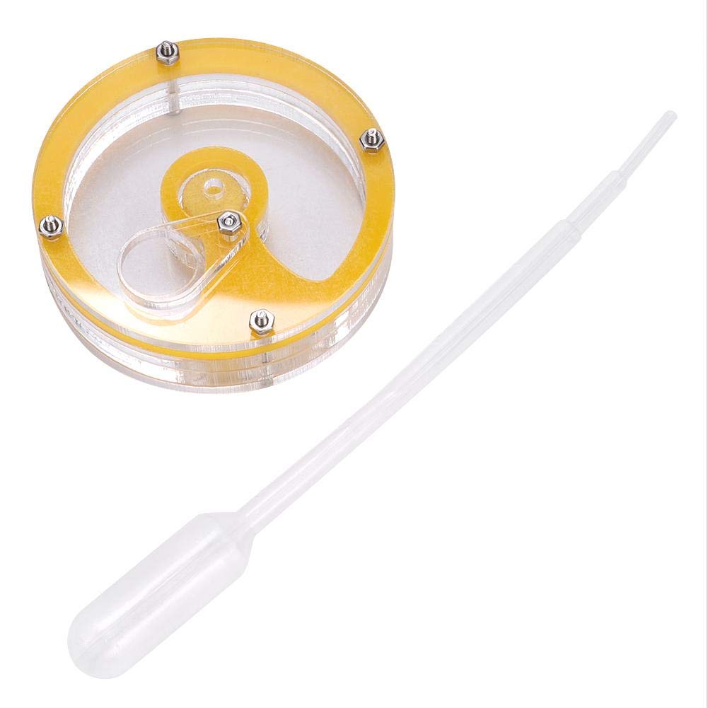 Acrylic Transparent Ant Farm Kit - Round Insect Habitat for Feeding & Moisture Control - Science Education & Observation - Perfect for Kids, Classrooms & Nature Enthusiasts