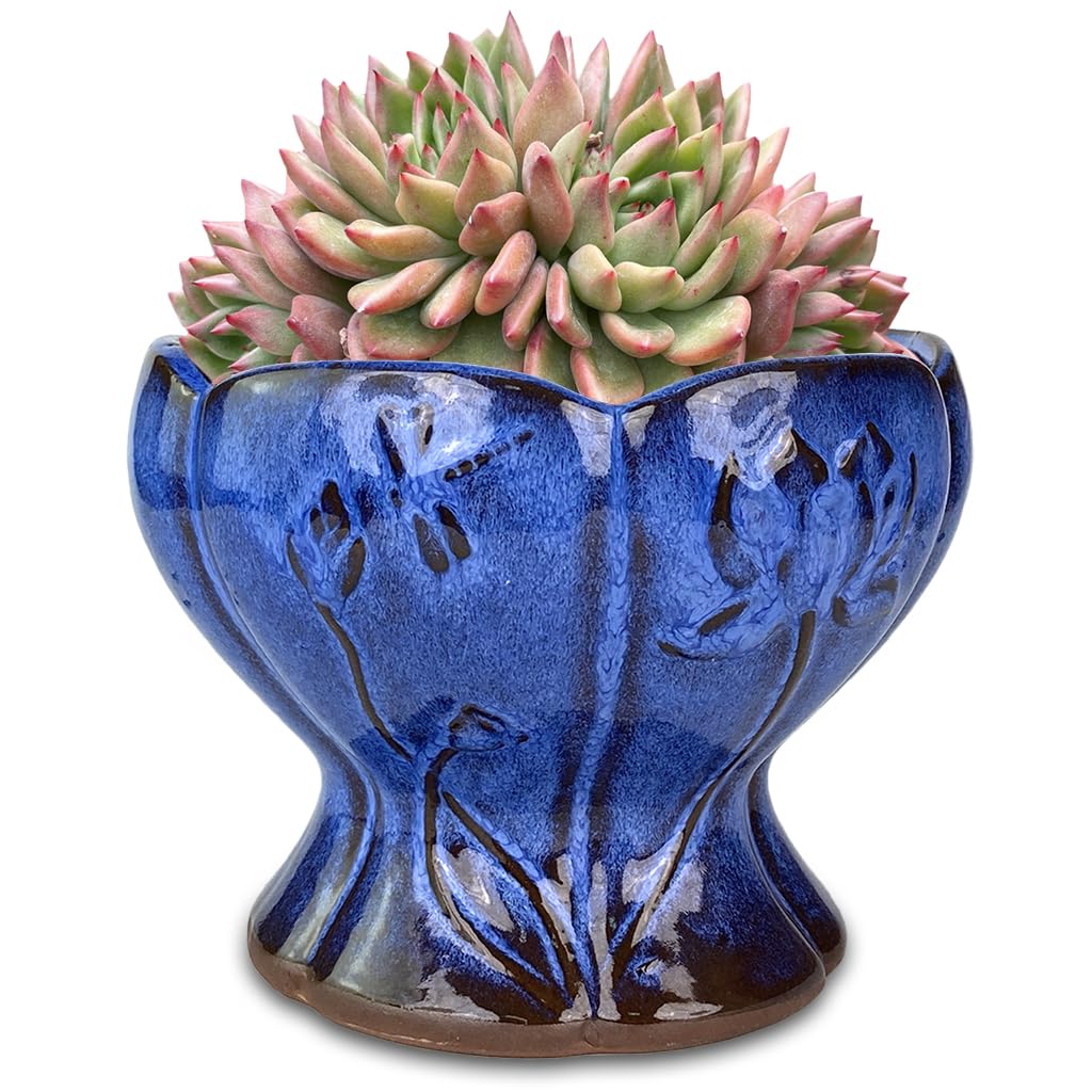 6.2 Inch Purple Glazed Terracotta Planter Pot with Drainage Hole & Saucer - Round Lotus Ceramic Flower Pot for Succulents, Cactus, Indoor Plants - Perfect for Home Decor, Office Desk, Garden & Balcony