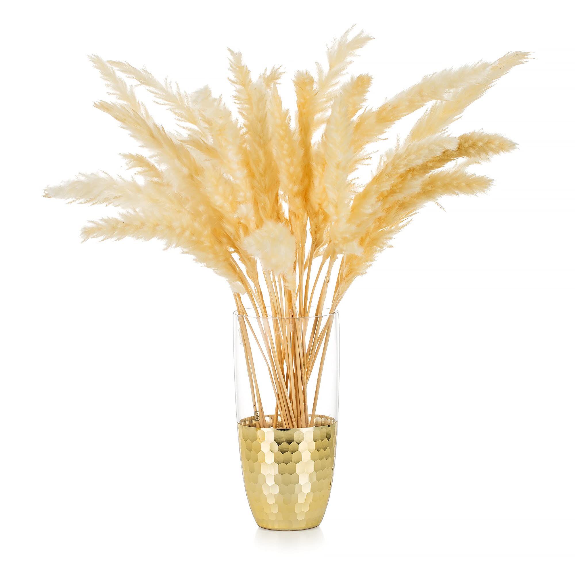 Elegant Gold Glass Flower Vase - 8.07