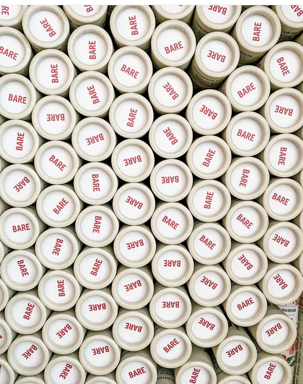 Natural Unscented Lip Balm for Dry Lips - Hydrating & Moisturizing - Vegan & Cruelty-Free - Perfect for Daily Use, Outdoor Activities & Travel