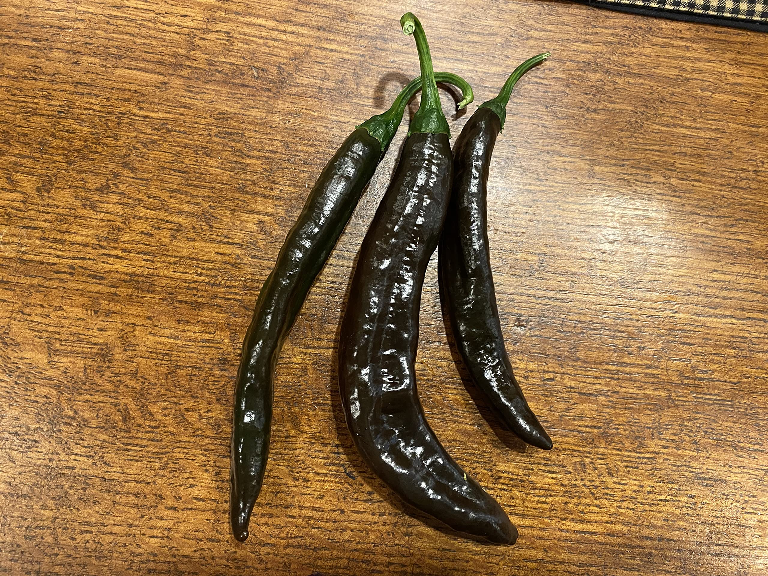 Premium Pasilla Apaseo Little Raisin Chile Oaxacan Chilaca Chili Heirloom Pepper Seeds - Non-GMO Planting Packet for Home Garden, Mexican Cuisine & Salsa Making