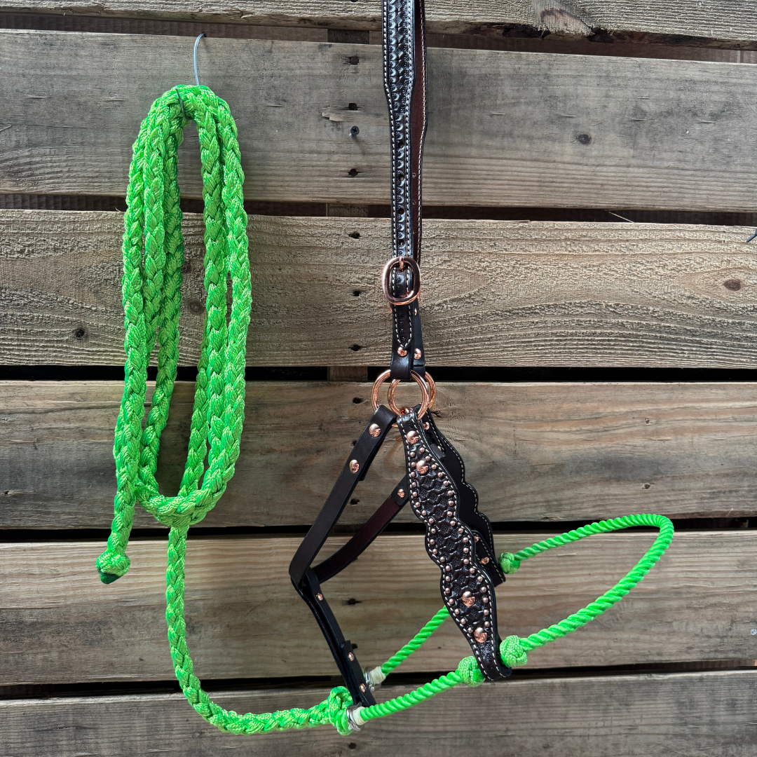 Lime Honeycomb Tooled Leather Lariat & Halter Combo - Western Equestrian Accessories for Horse Riding & Cowgirl Fashion