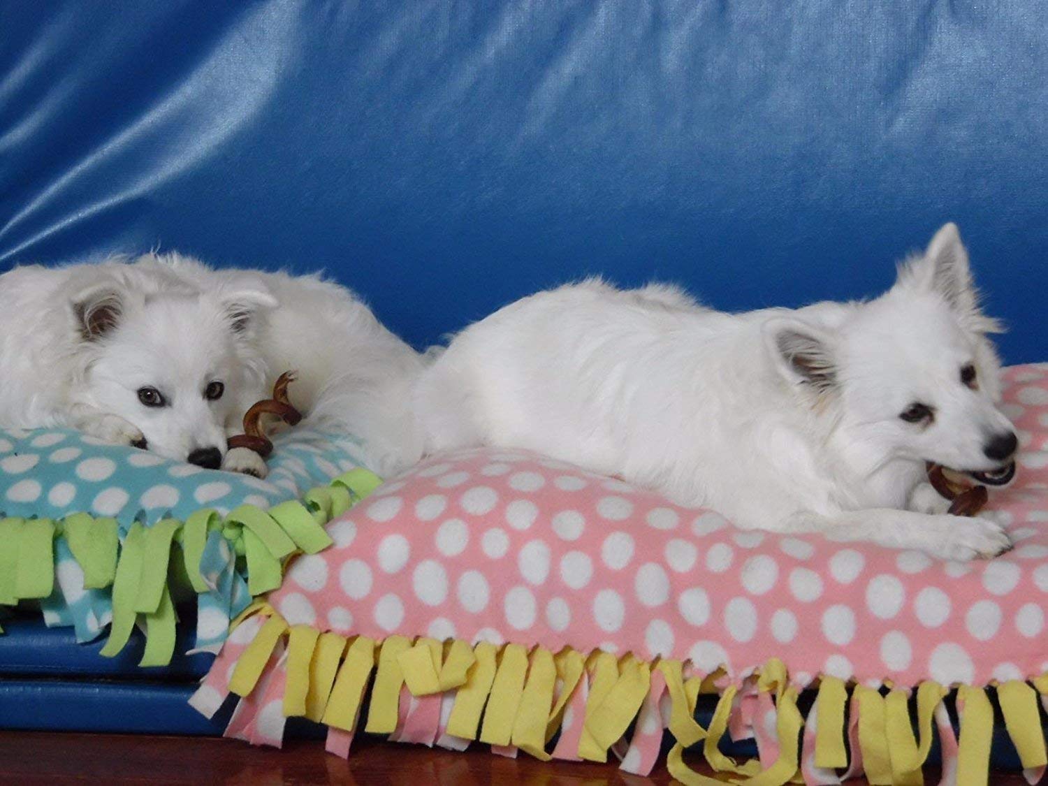 **Pawstruck All-Natural 6