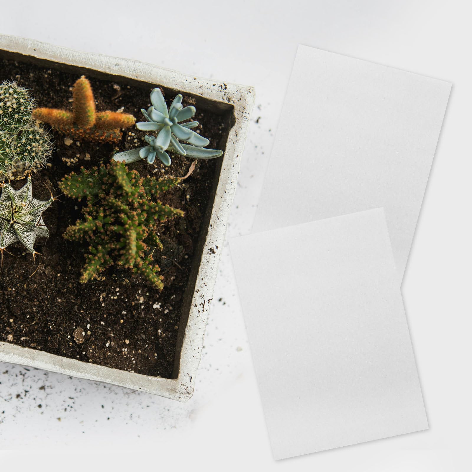 Hemoton 100 Pcs Seed Sprouter Paper - Organic Germination Growing Paper for Vegetables, Herbs & Microgreens | 18x26cm Plant Starter Tray for Hydroponic Gardening, Indoor Farming & Home Garden Seed Starting
