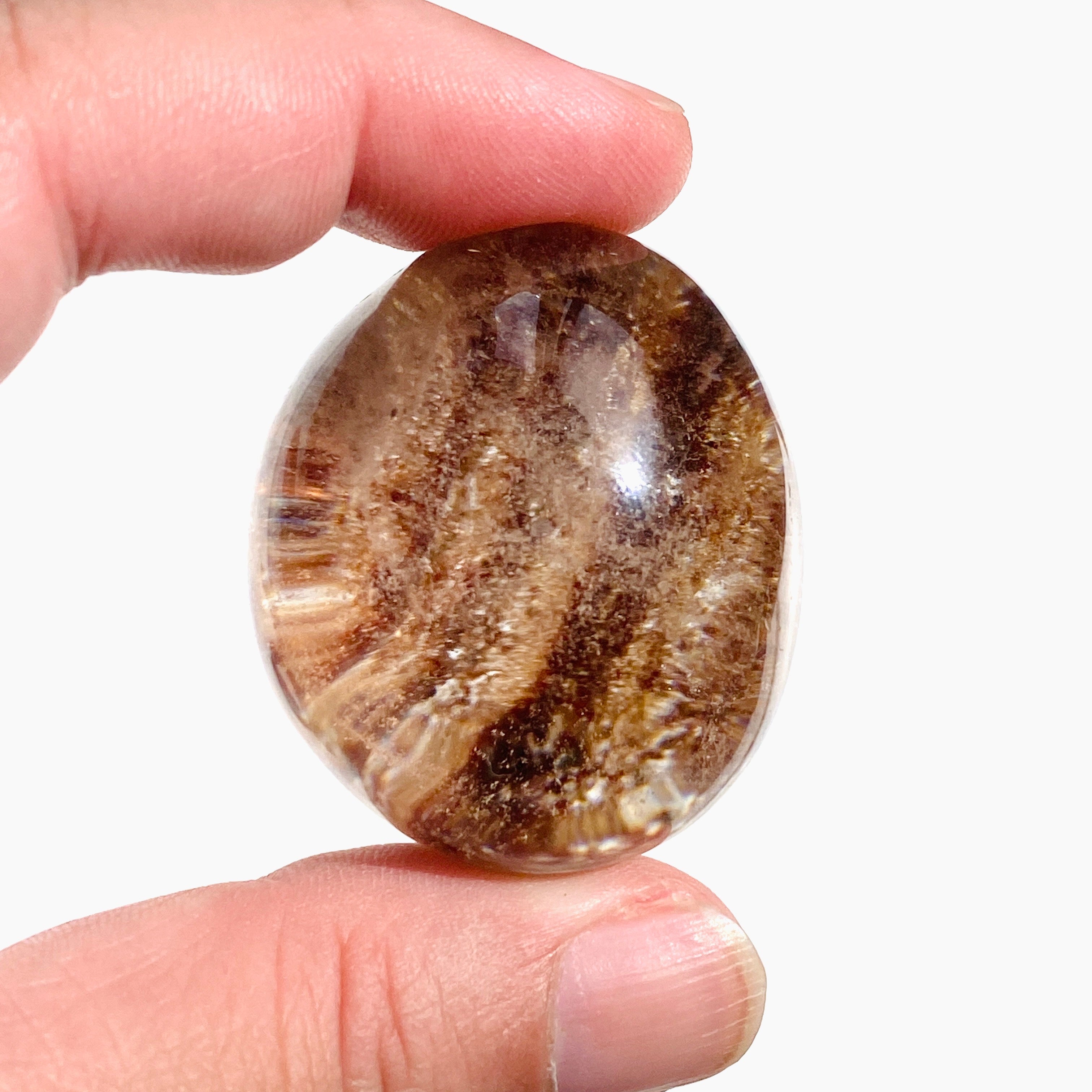 Natural Garden Quartz (Lodolite) Freeform Crystal - Healing Stone for Meditation, Energy Work & Home Decor | GQF 04