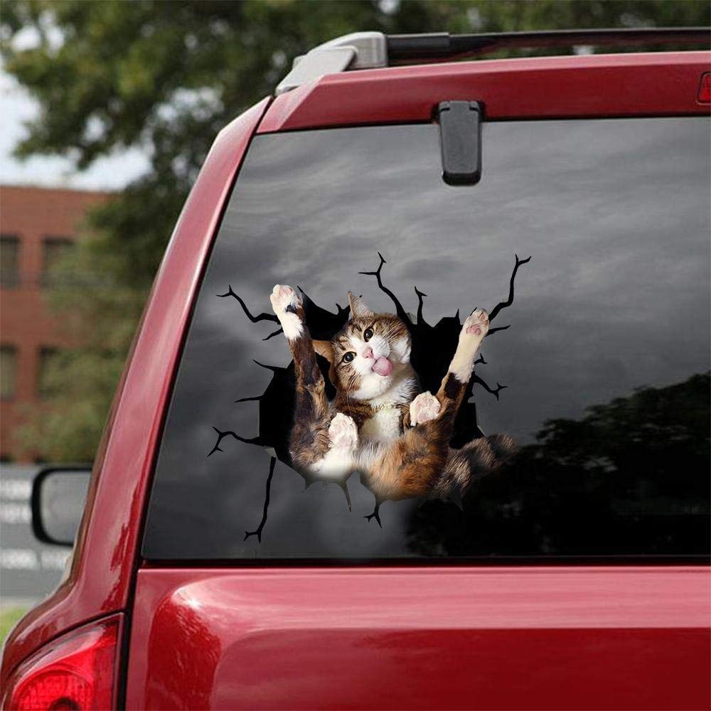 Funny Cat Car Decals Pack of 2 - 10