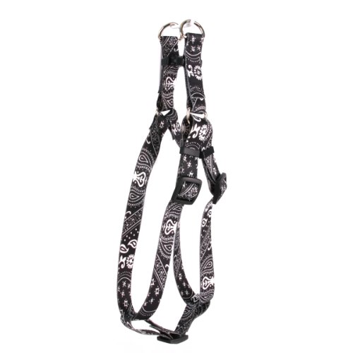 Bandana Black
