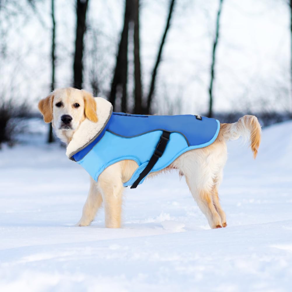 EMUST Thick Windproof Dog Winter Coat - Warm Pet Jacket for Small, Medium & Large Dogs (New Blue, XXL) - Ideal for Cold Weather Walks & Outdoor Adventures