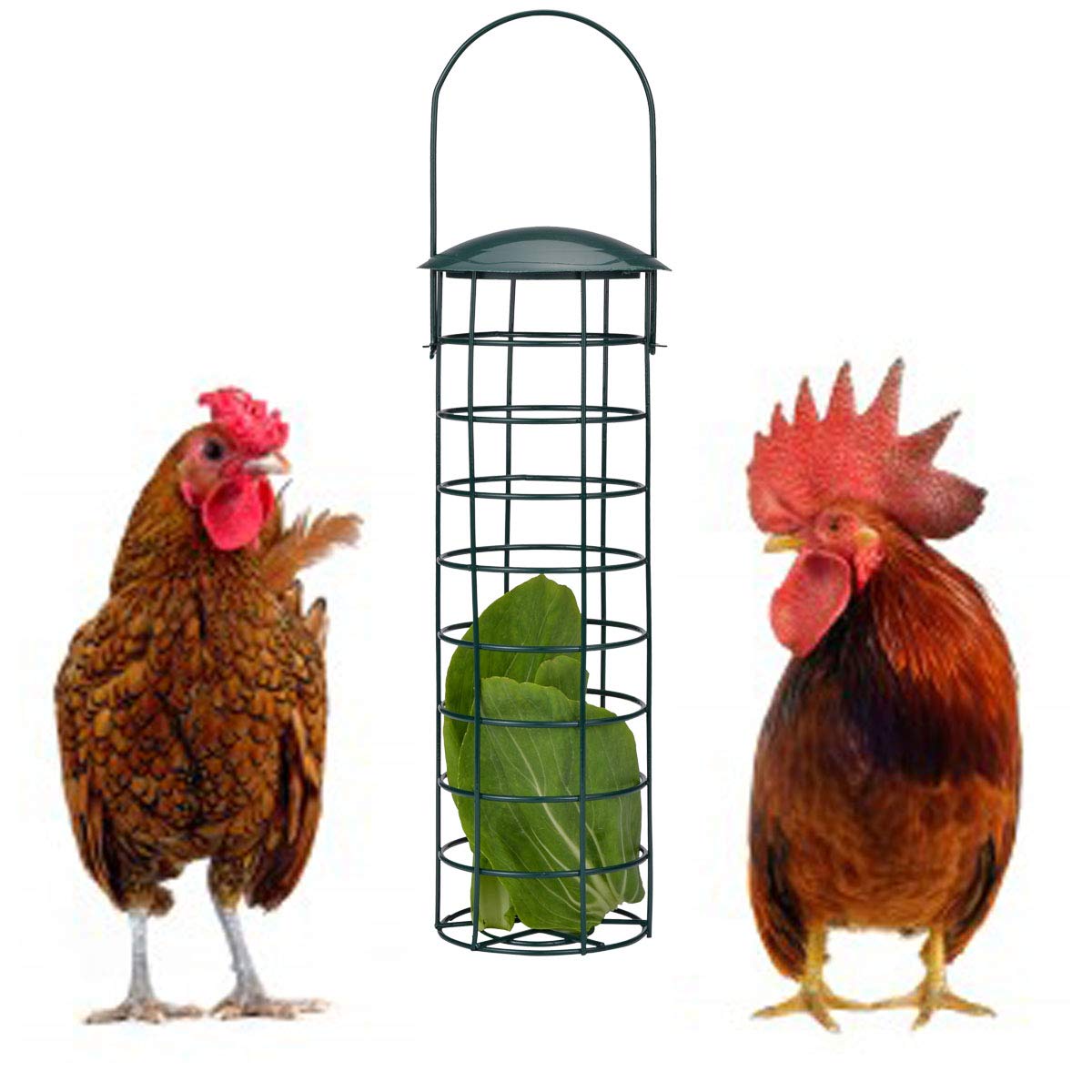 Lanermoon Chicken Foraging Toys - Hanging Iron Treat Feeder for Hens, Parrots & Birds - Green Vegetable Veggie Feeder - Perfect for Coop Enrichment & Natural Foraging Behavior