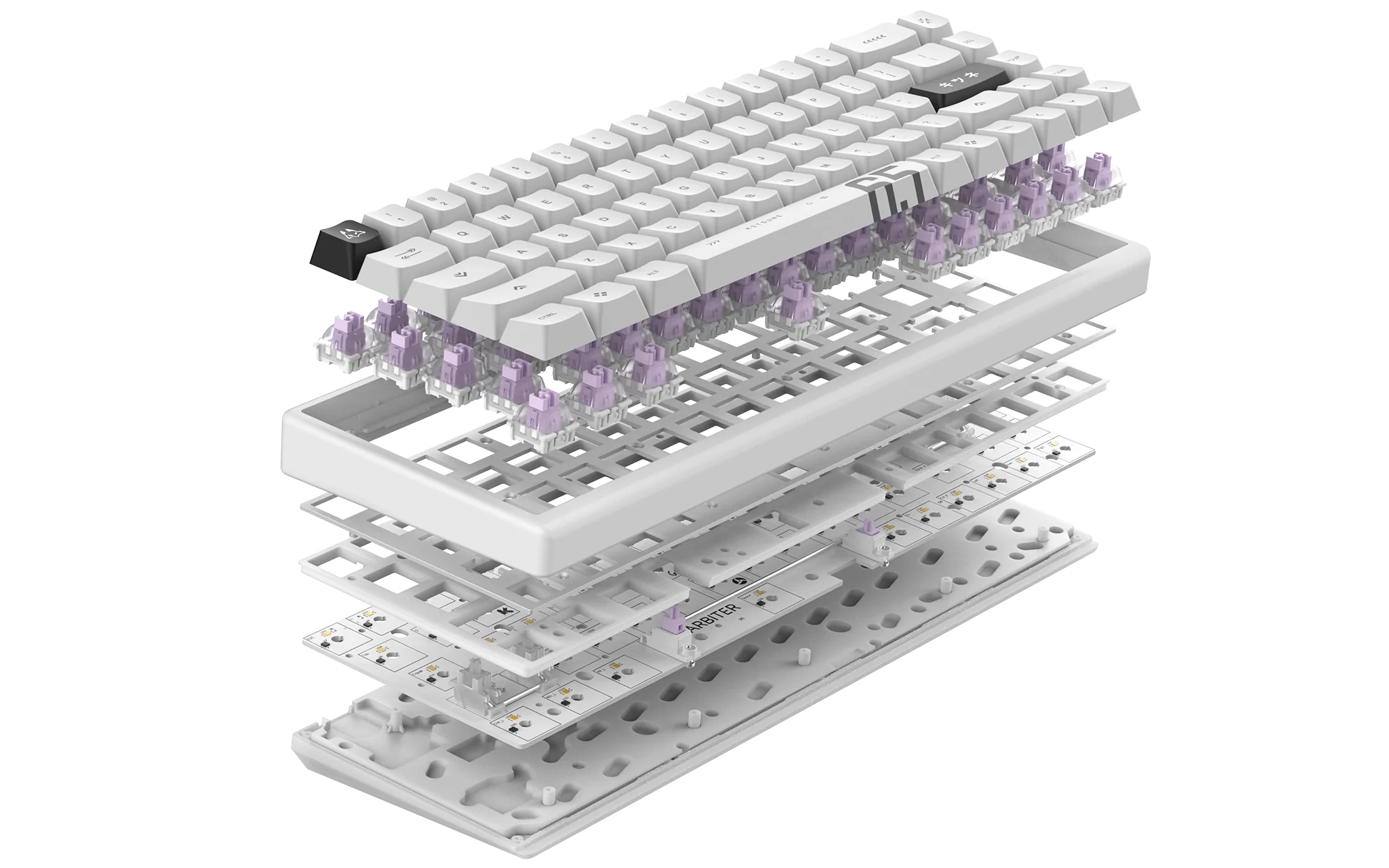 Arbiter Studio KITSUNE Polar 65 PRO Hall Effect Magnetic Gaming Keyboard - 65% Compact Mechanical Keyboard with Hot-Swappable Switches for PC, Mac, Gaming & Office Use