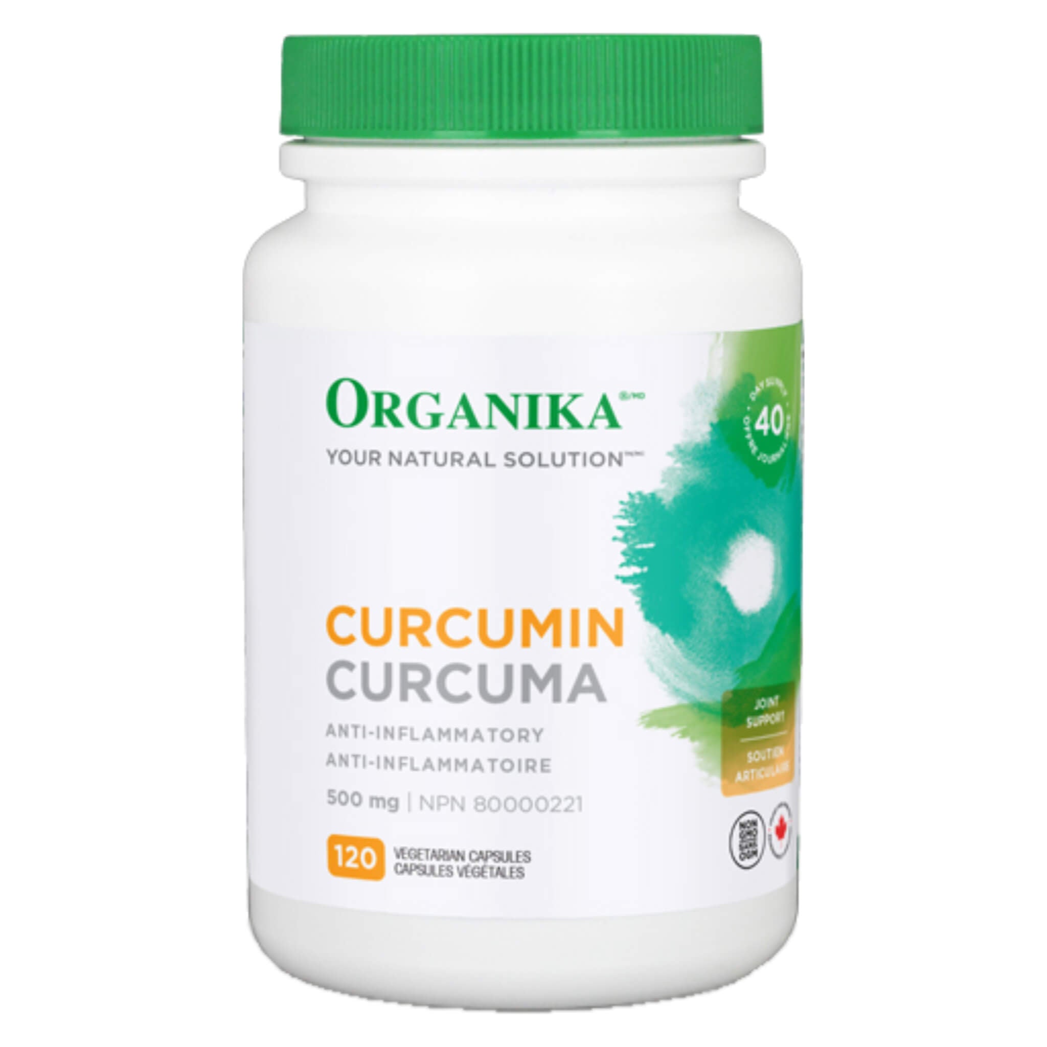 Premium Organic Turmeric Curcumin Supplement - 95% Curcuminoids for Joint & Inflammation Support - Natural Anti-Inflammatory & Antioxidant - Supports Digestion & Immune Health - Perfect for Daily Wellness Routine, Cooking & Golden Milk Recipes